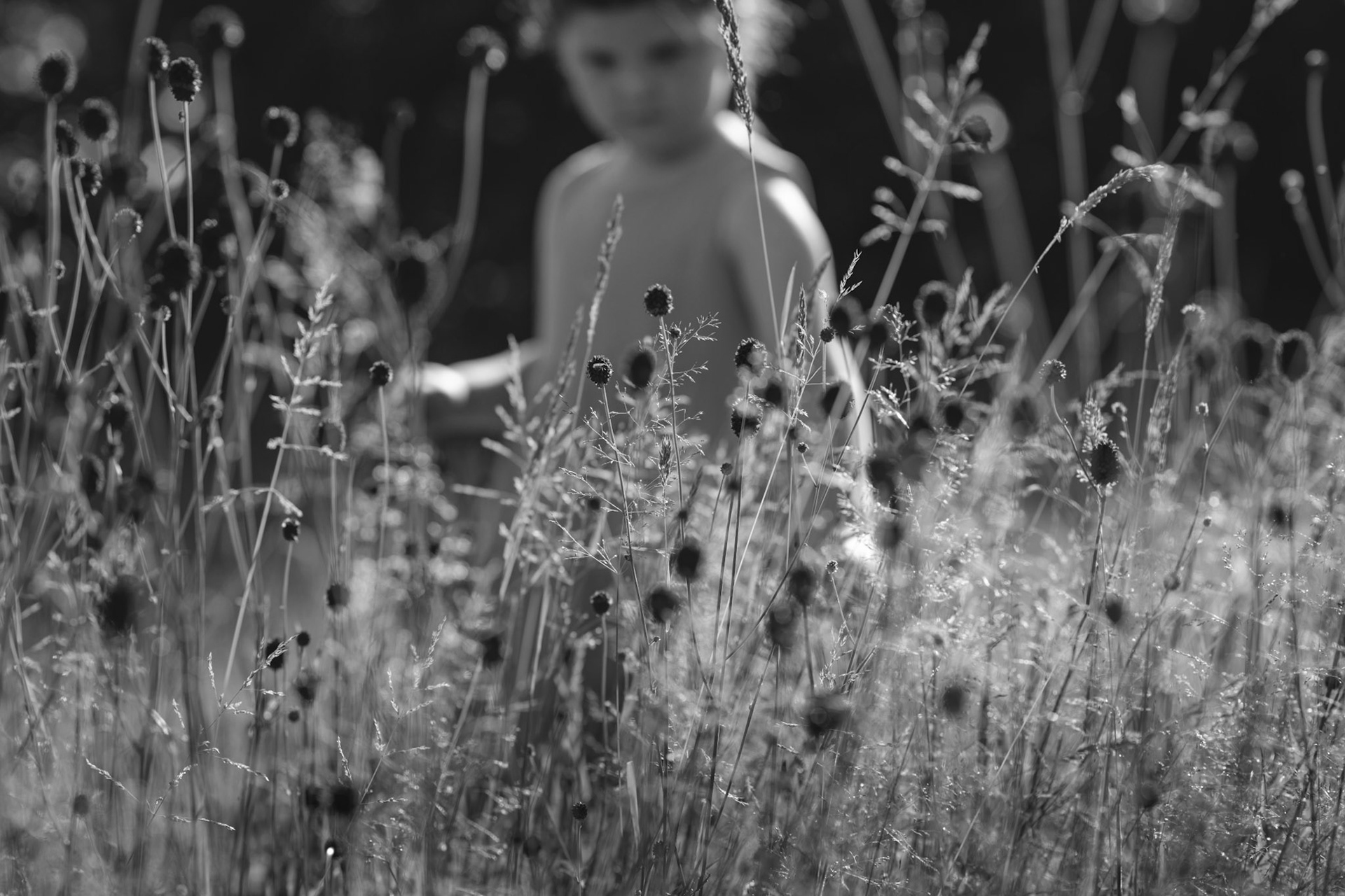 SFA-023-BW.jpg