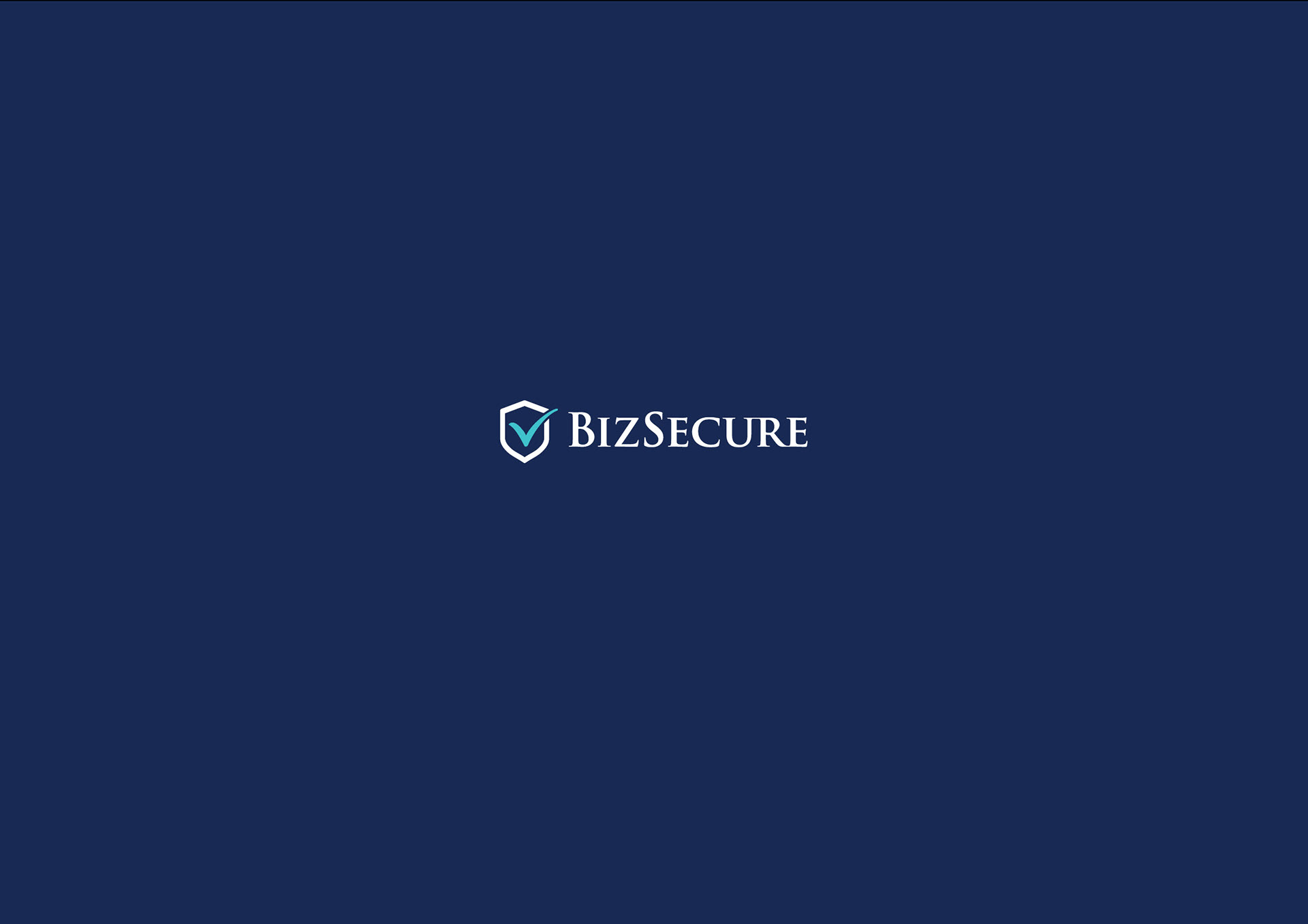 BizSecure business insurance brand identity