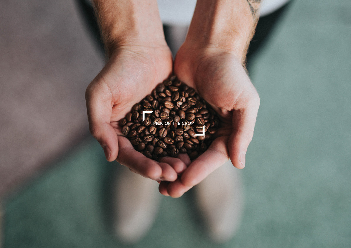 Mr Picky Specialty Coffee Brand Pick of the Crop