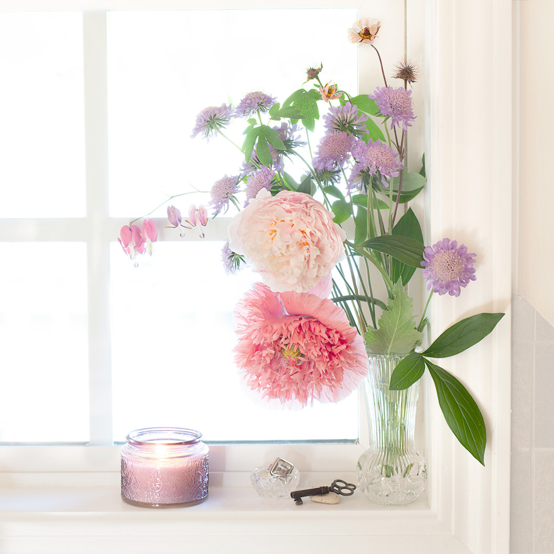 On the Windowsill