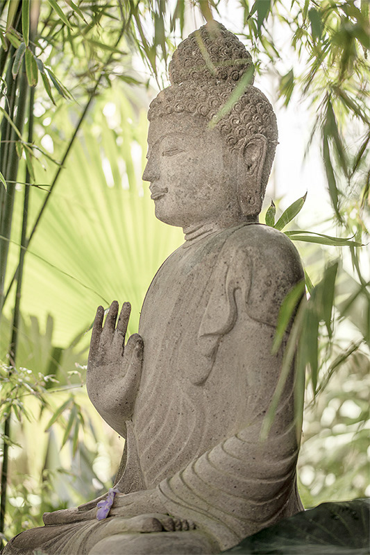 Vitarka (teaching) Mudra