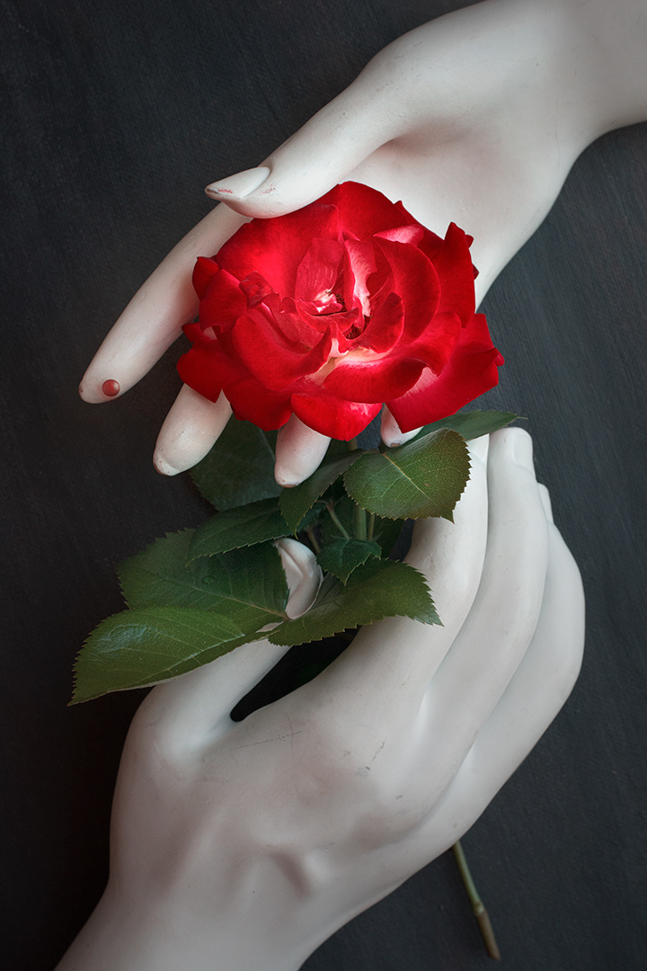 Love's Gift