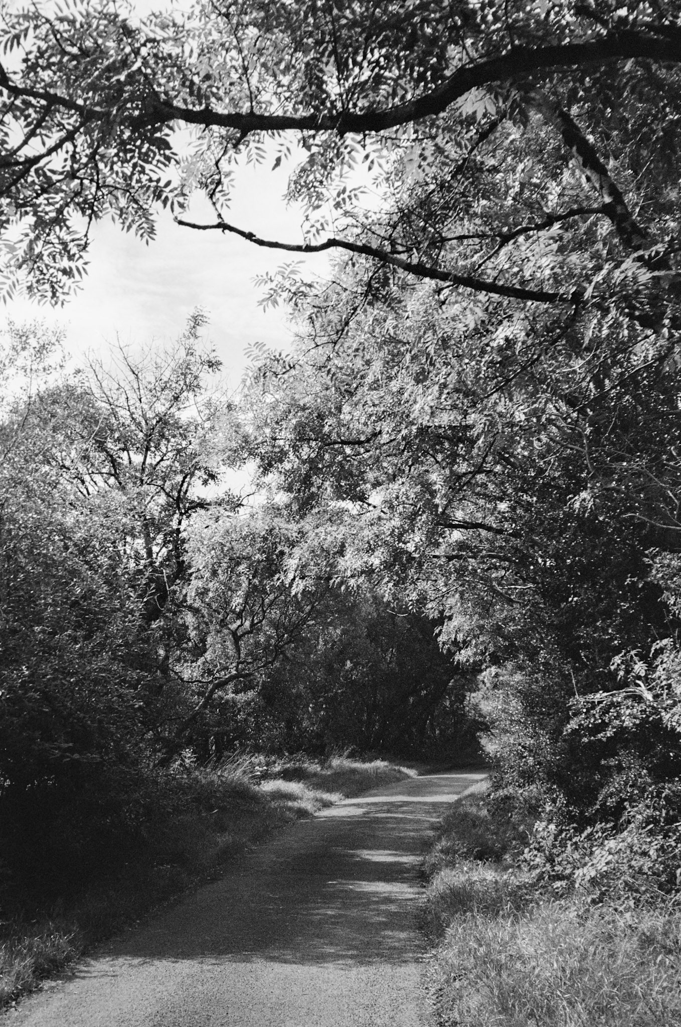 [FILM]