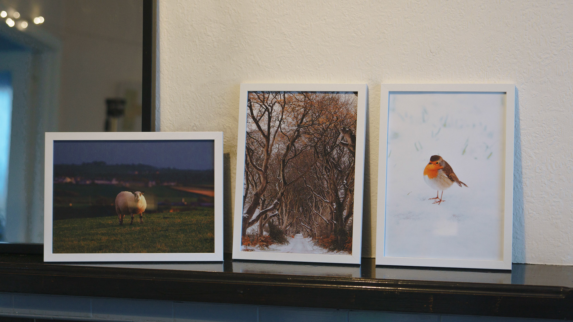 Framed A4 Prints