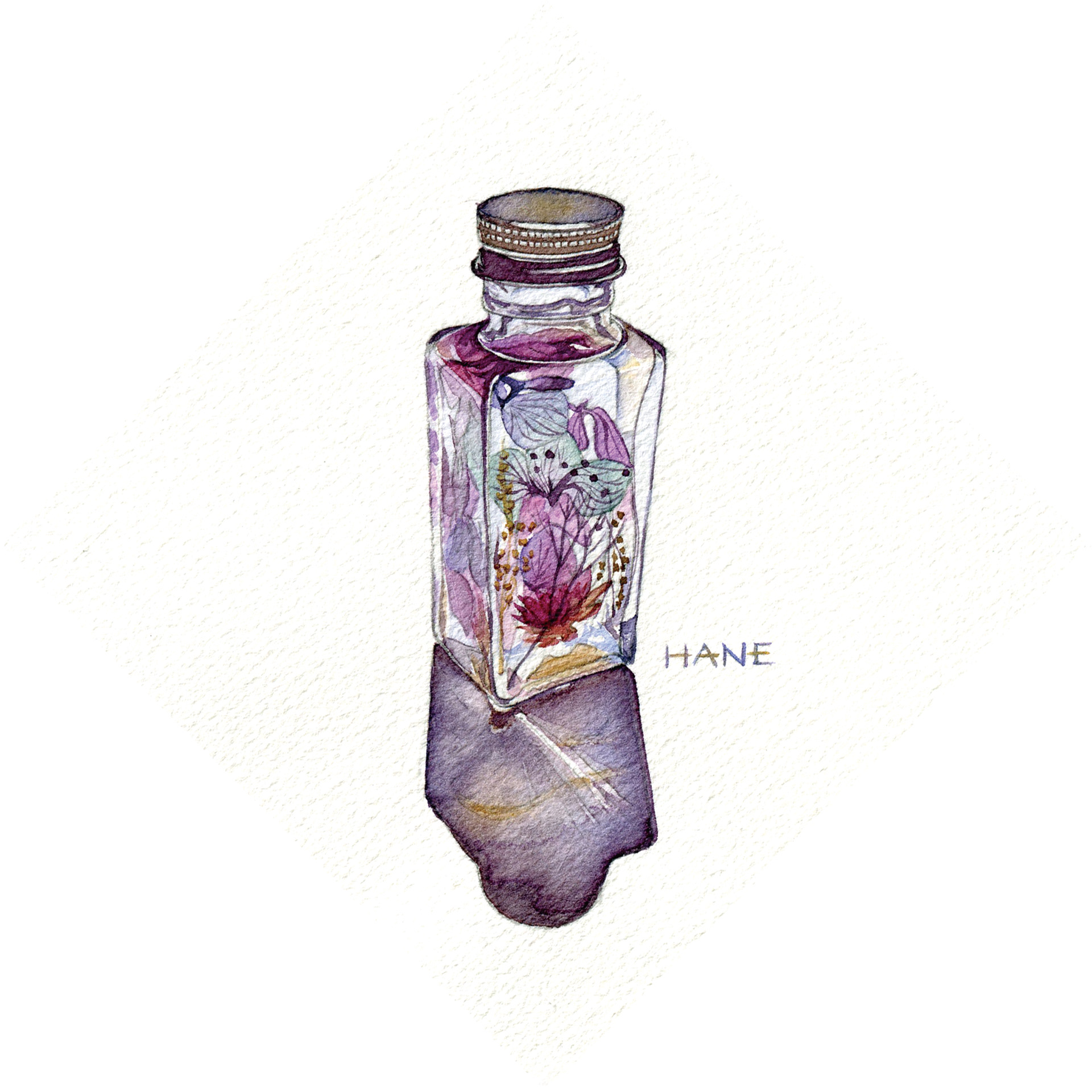 ハーバリウム Herbarium W&N watercolor & pencil on Arches paper 100㎜×100㎜ 2020