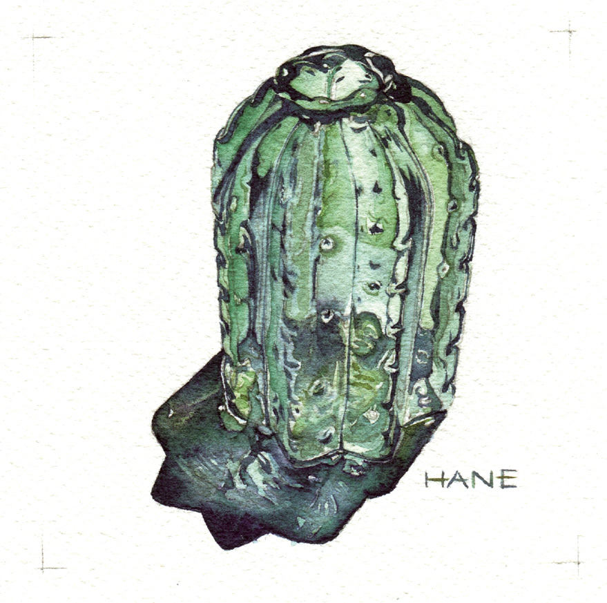 サボテンの花瓶 Cactus vase W&N watercolor & pencil on Arches paper 100㎜×100㎜ 2020