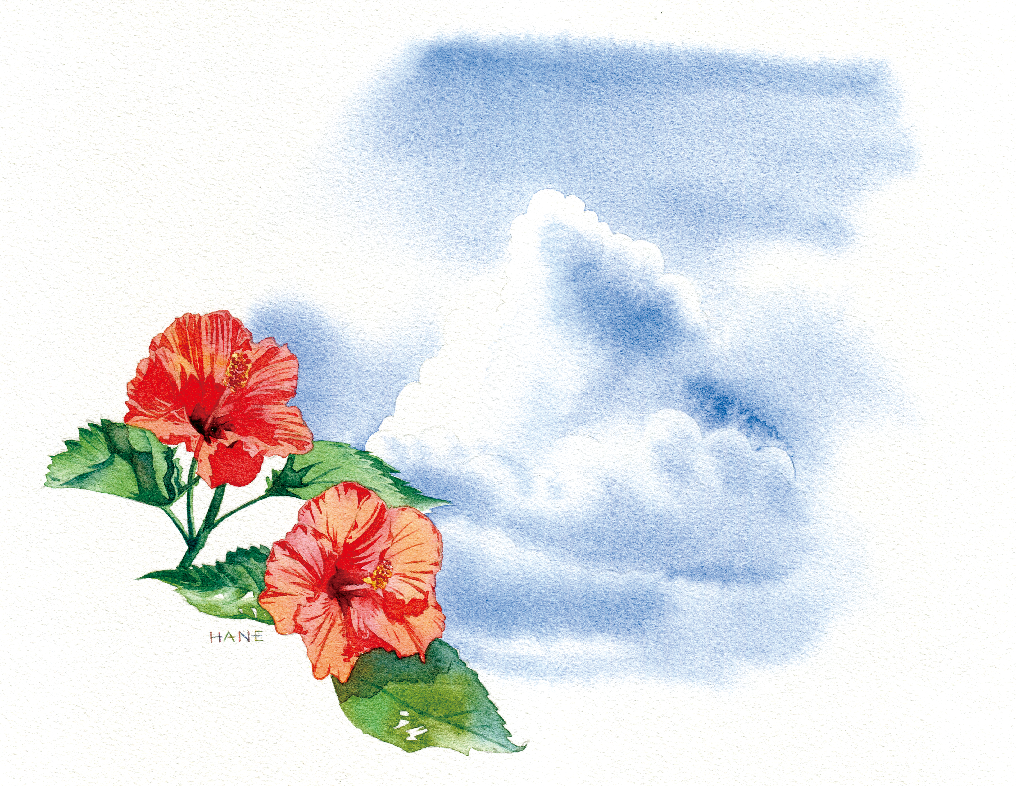 夏の空 Summer sky W&N watercolor & pencil on Arches paper 195㎜×260㎜ 2021