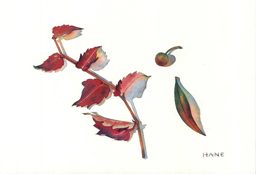 秋の色彩 Colors of Autumn W&N watercolor & Pencil on Arches paper 143㎜×212㎜ 2024
