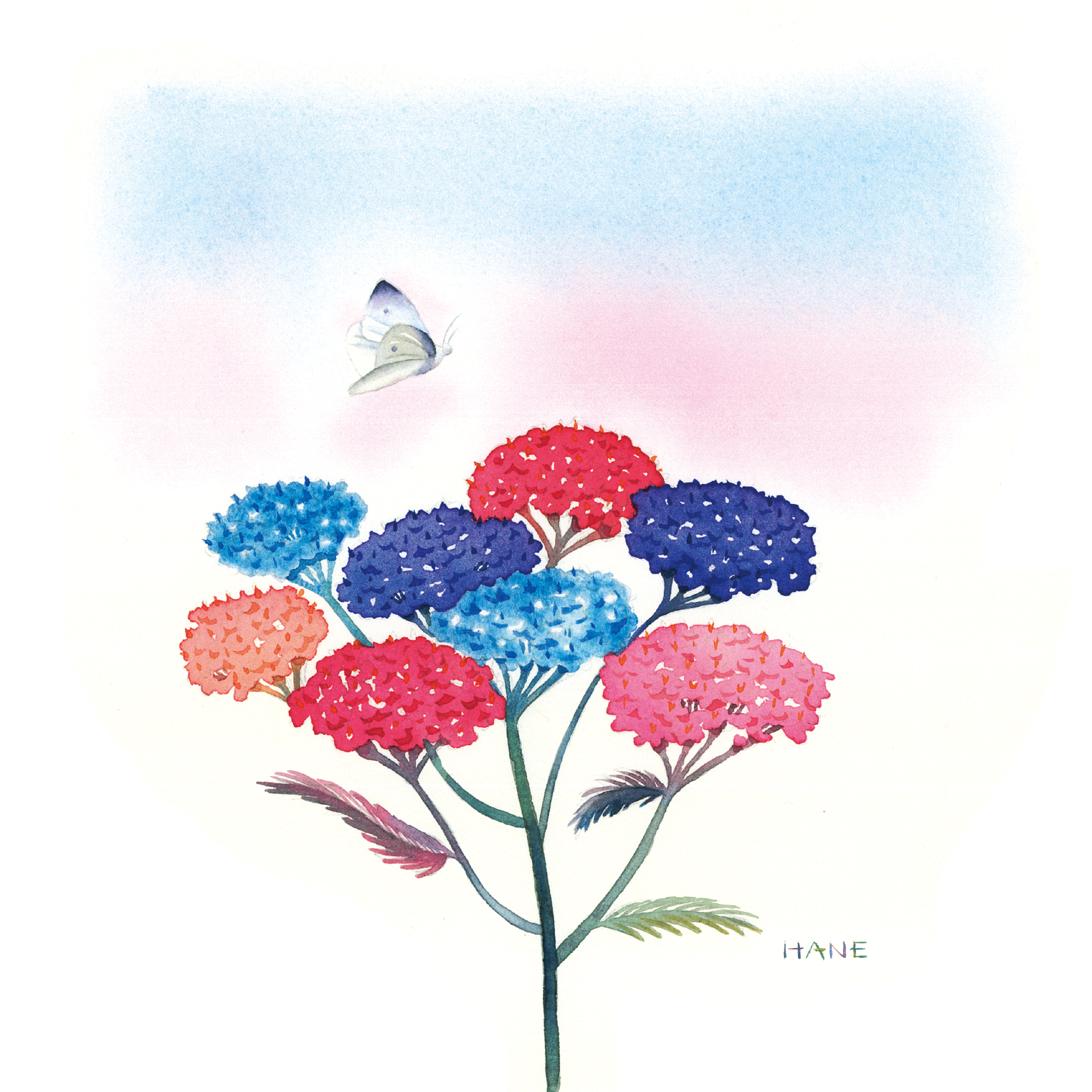 Assortment W&N watercolor & Pencil on Arches paper 170㎜×170㎜ 2024