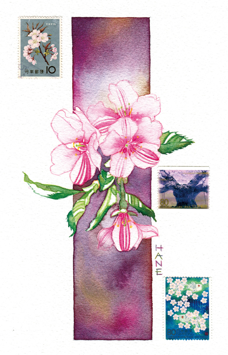 さくらのコラージュ Collage of cherry blossoms W&N watercolor & STAEDTLER Aquarell pencil on arches paper 200㎜×130㎜ 2020