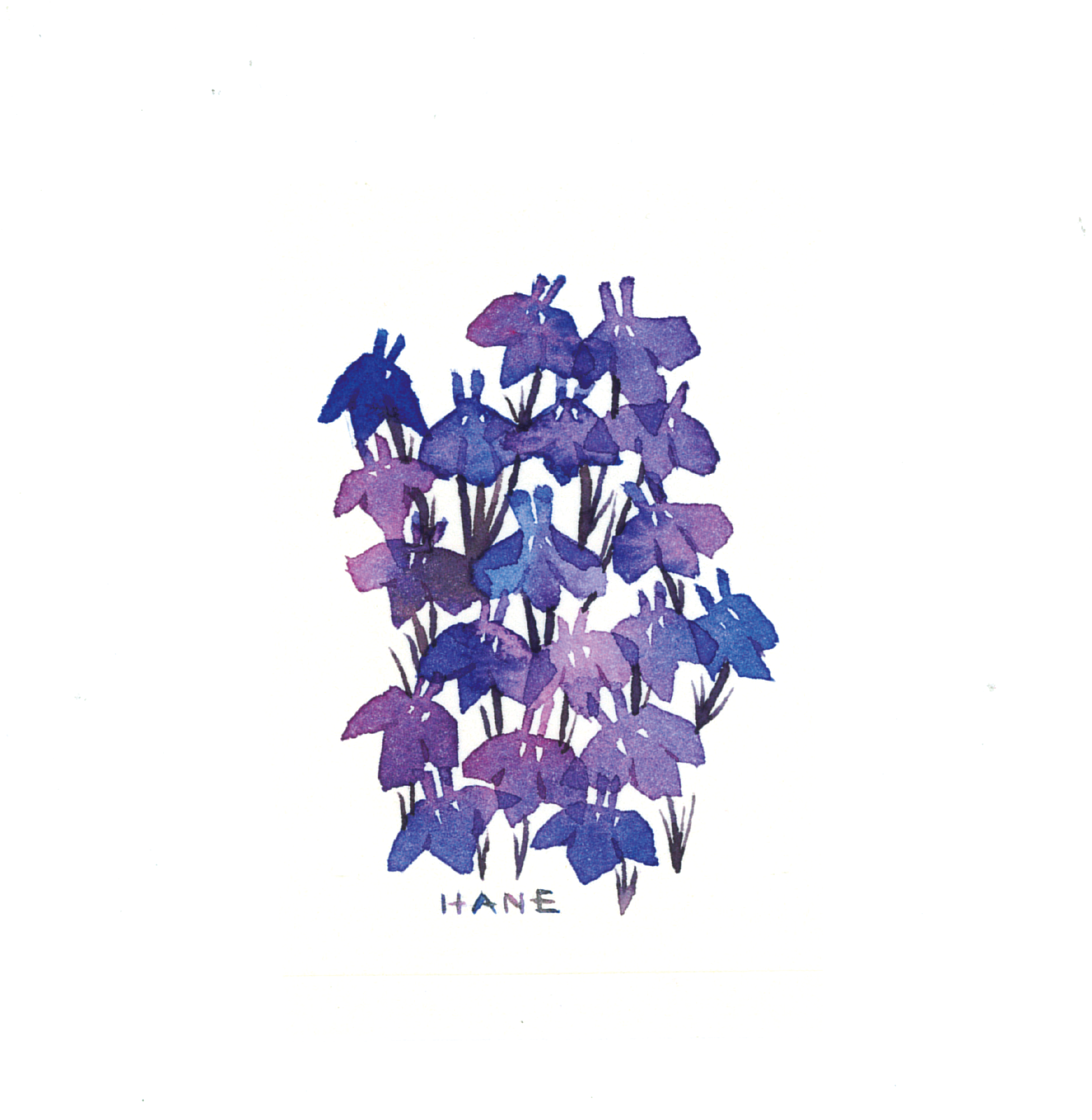 ロベリア Lobelia W&N watercolor on arches paper 77㎜×51㎜ 2024