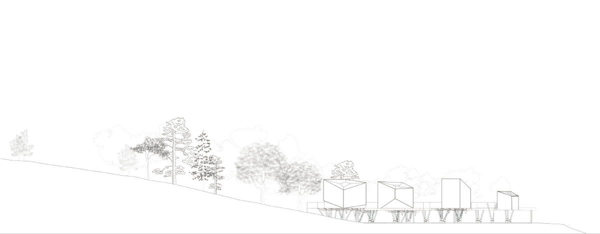 Original Drawing