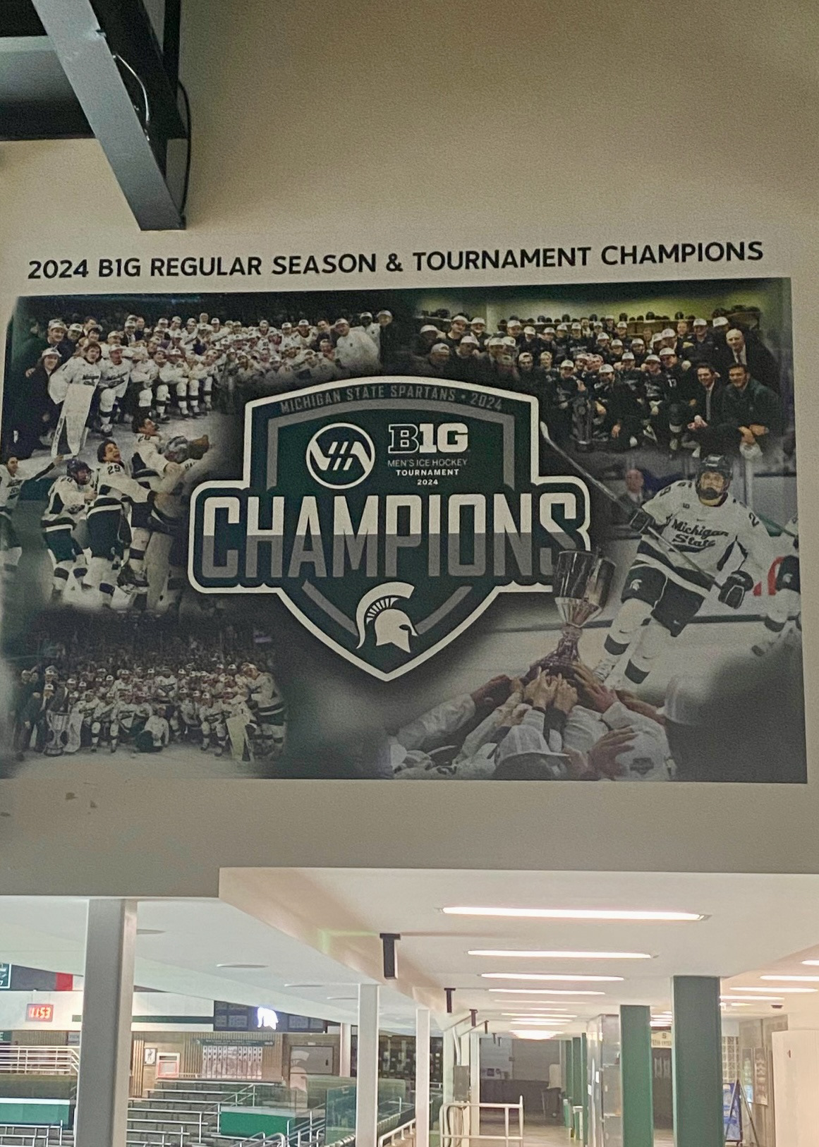 MSU Hockey Bulk Head Mural - B1G Champions