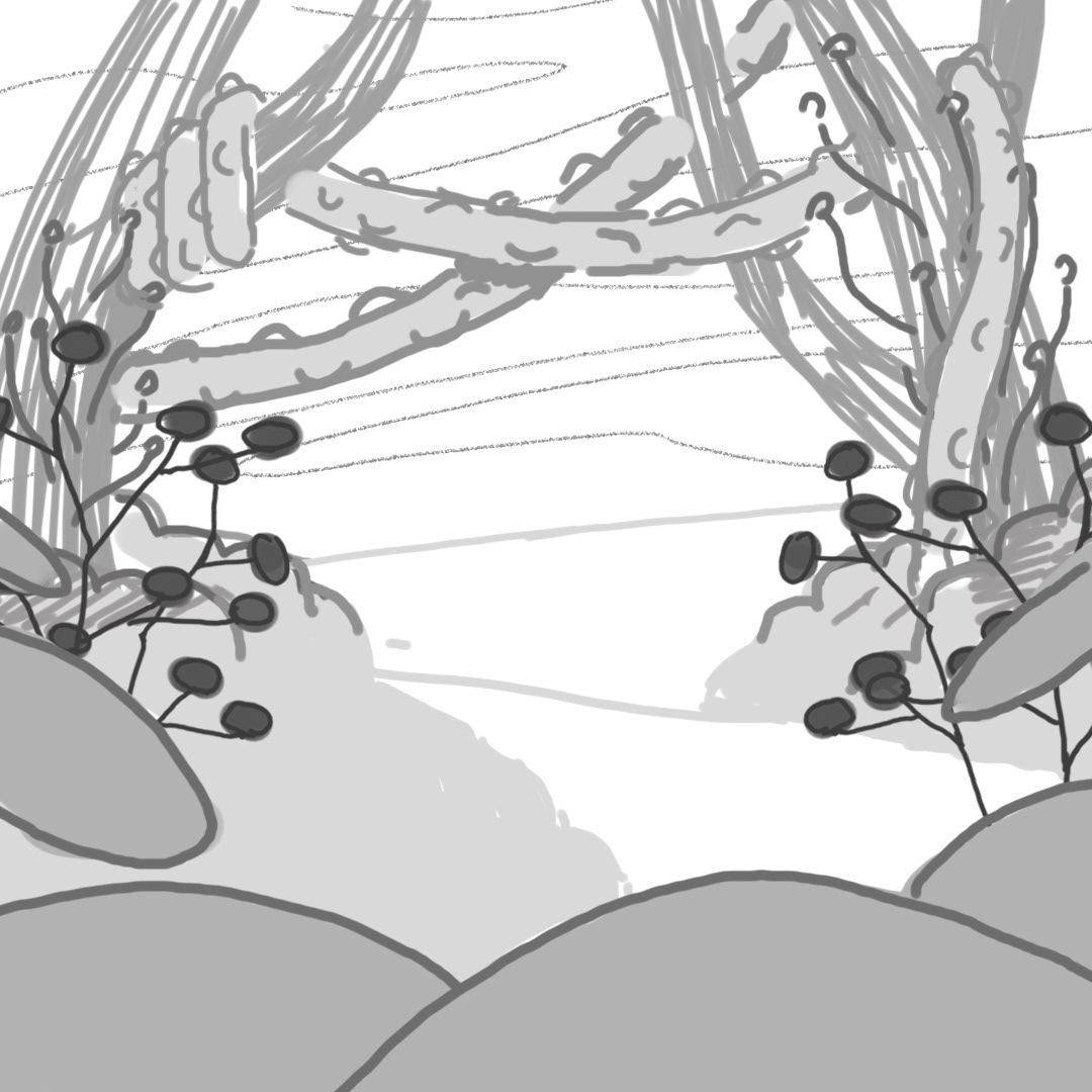 Layout Sketch