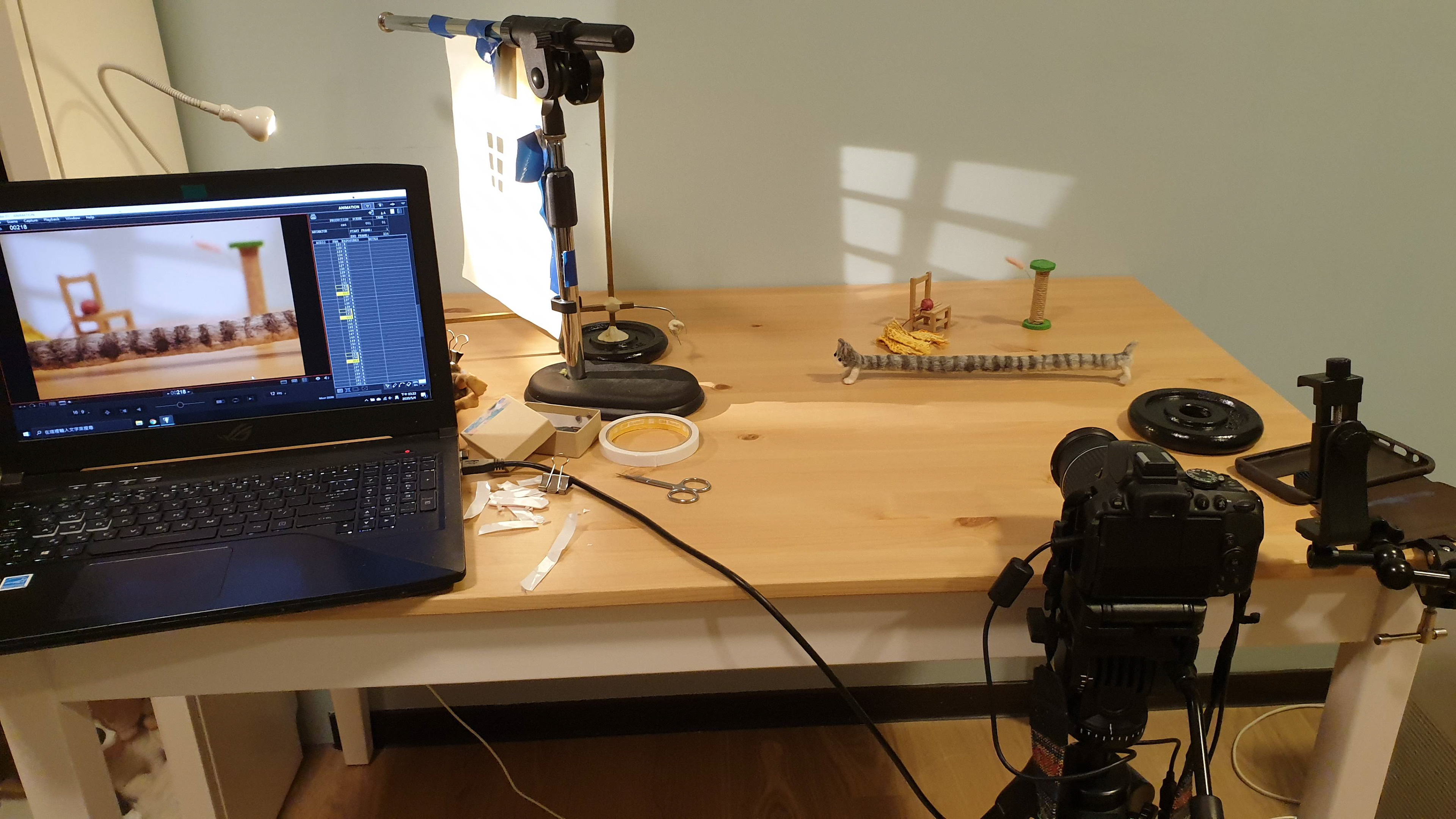 Long Cat Shooting Setup