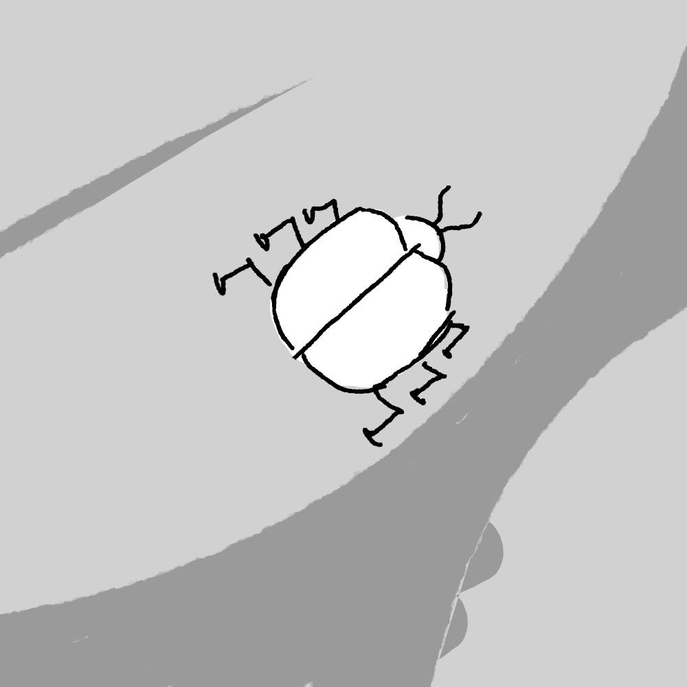 Beetle Sketch