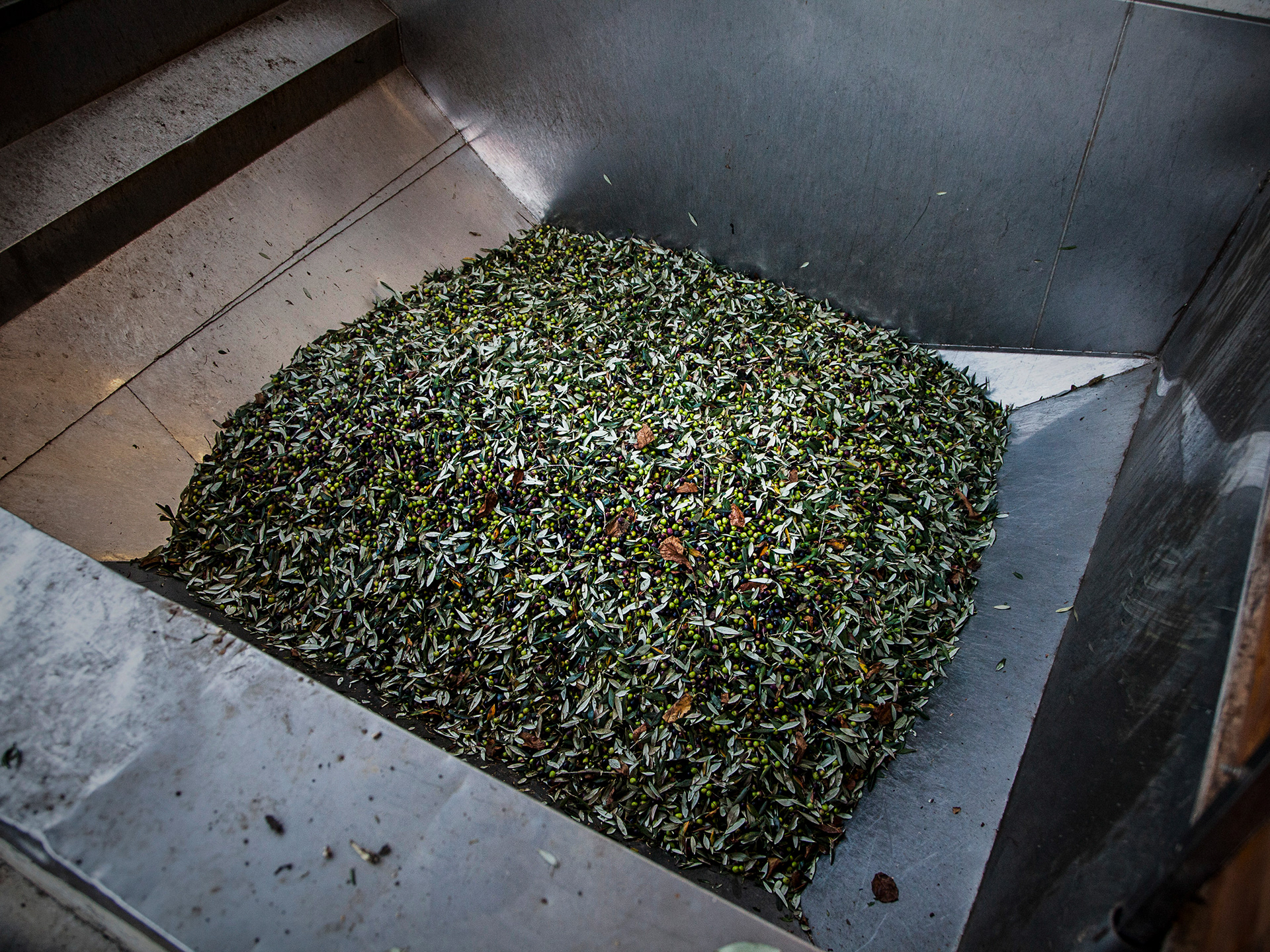 Stone pressed olive oil