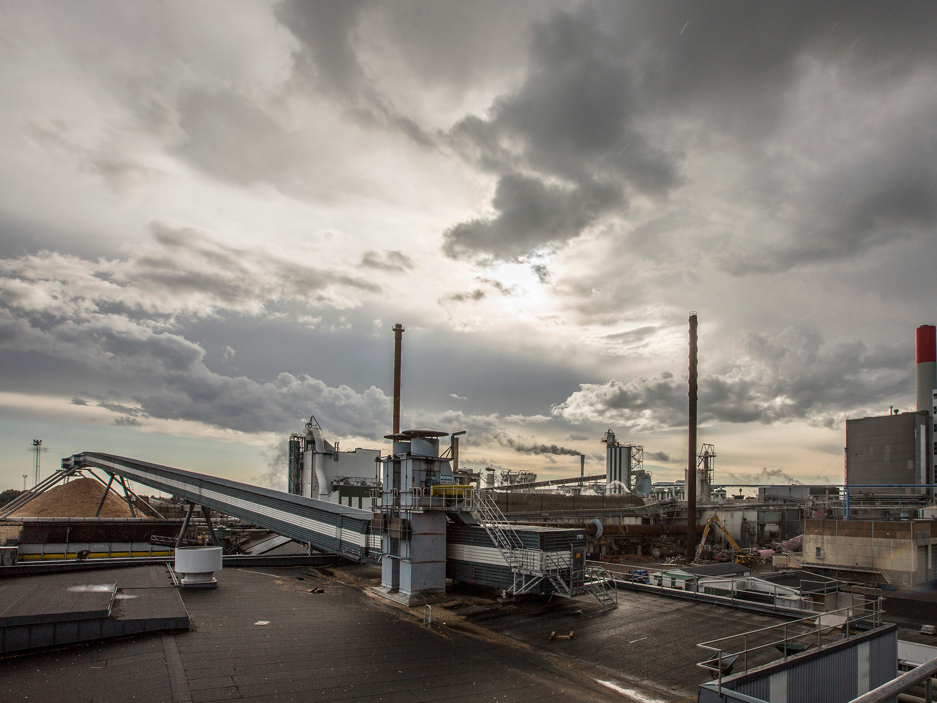 Södra, Sweden. Forest Management