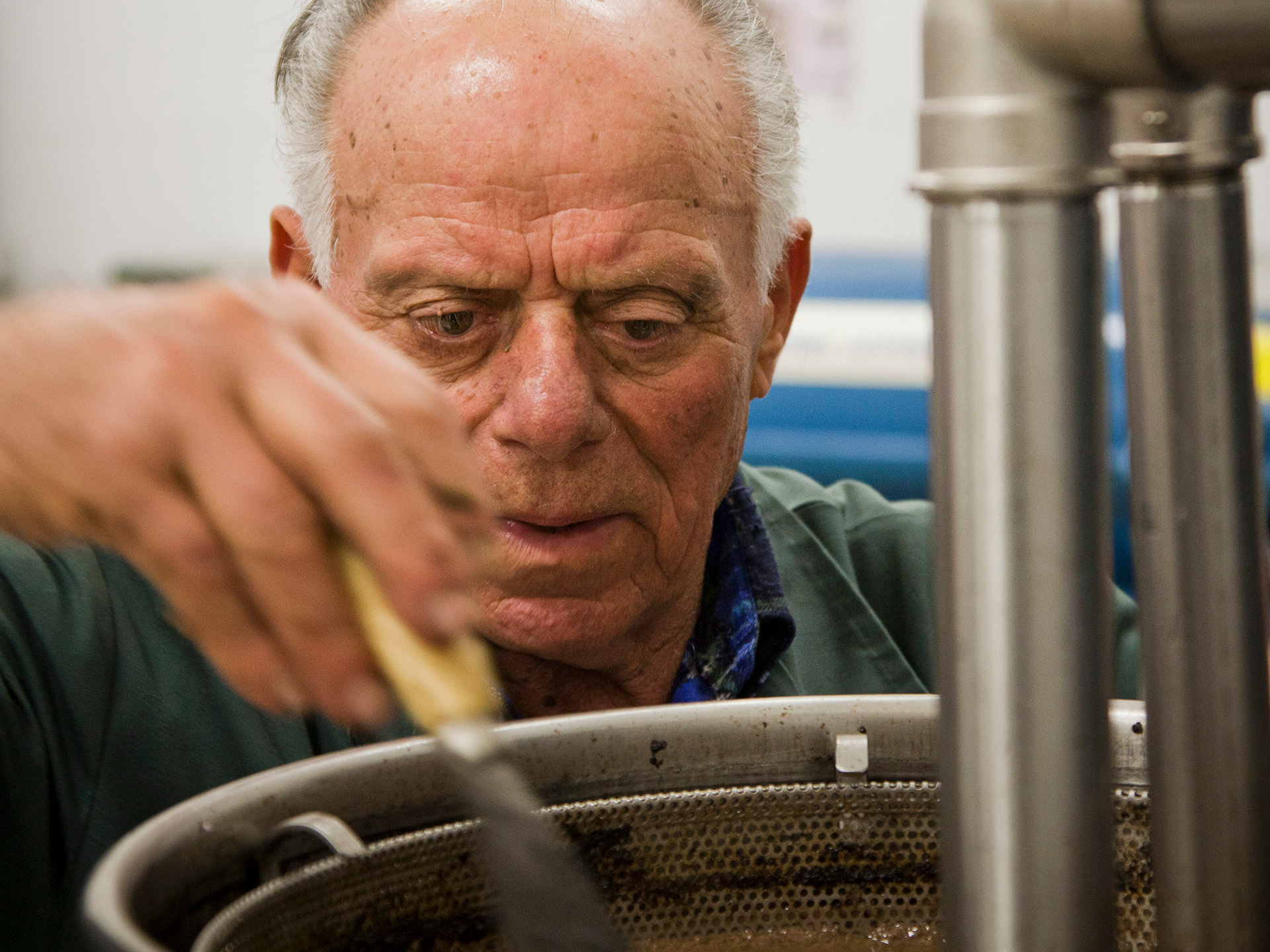 Olives at the stone pressing