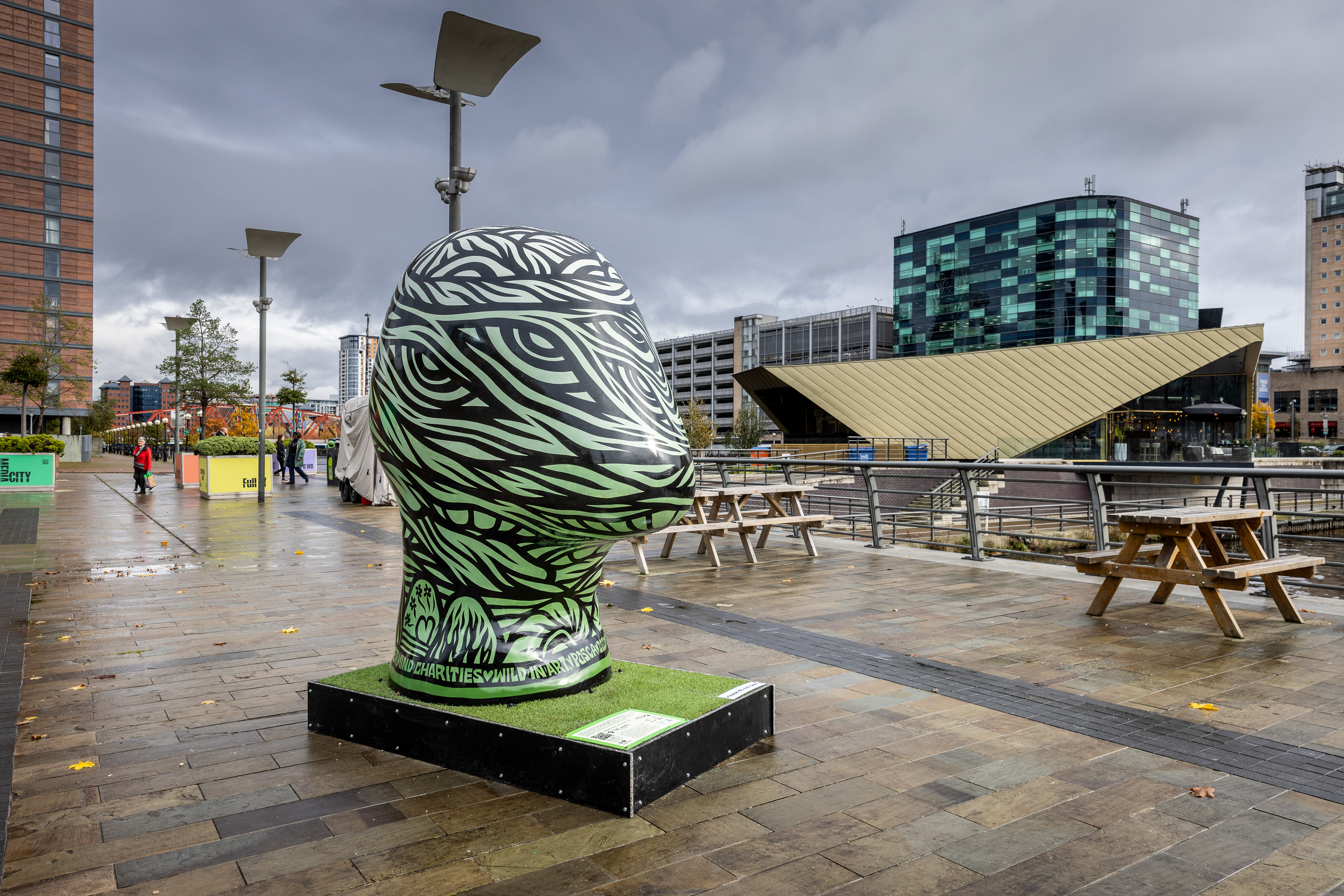 Six Places in a Different Light. We Are Willow