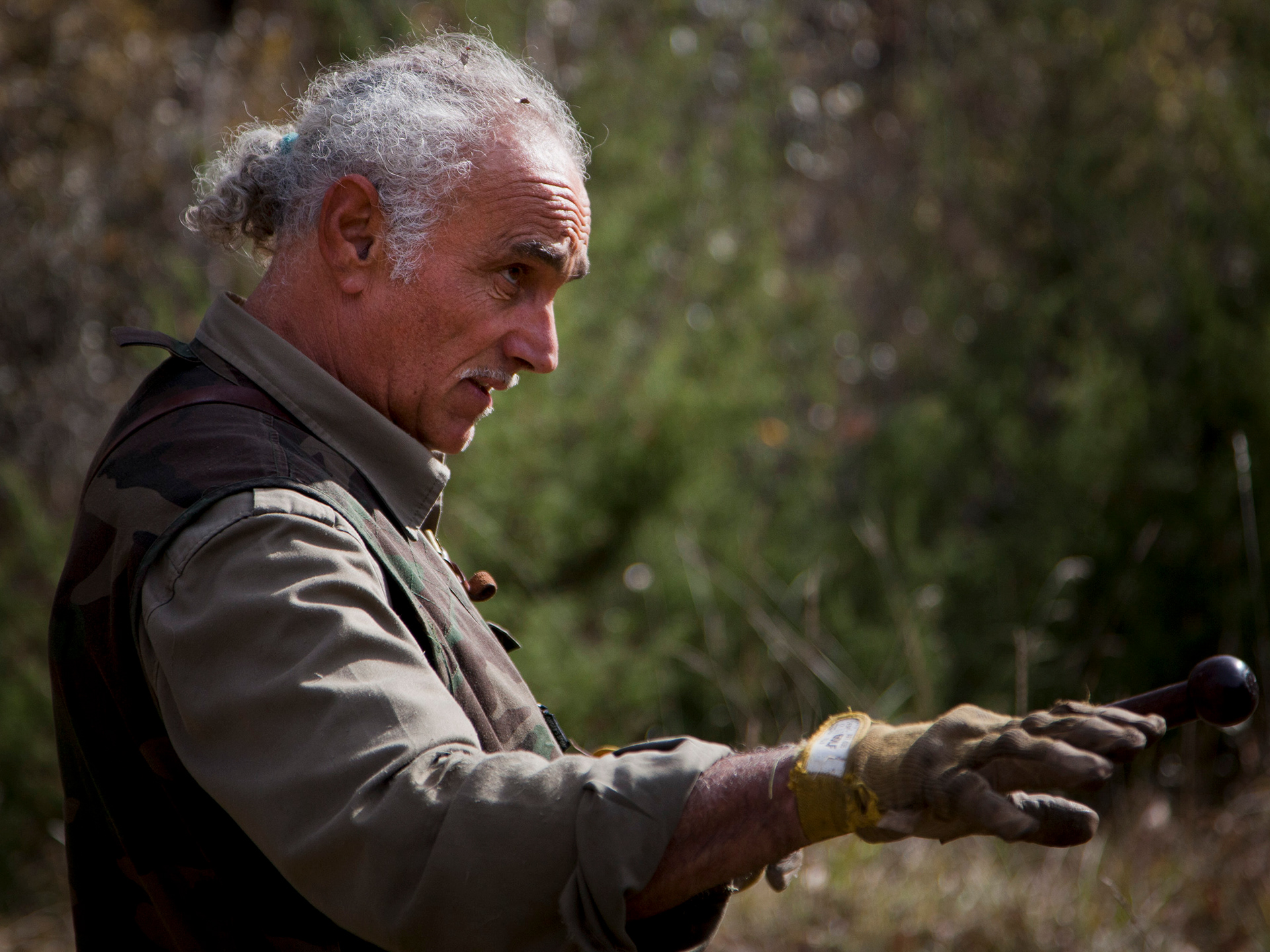 Truffle hunting in the forest