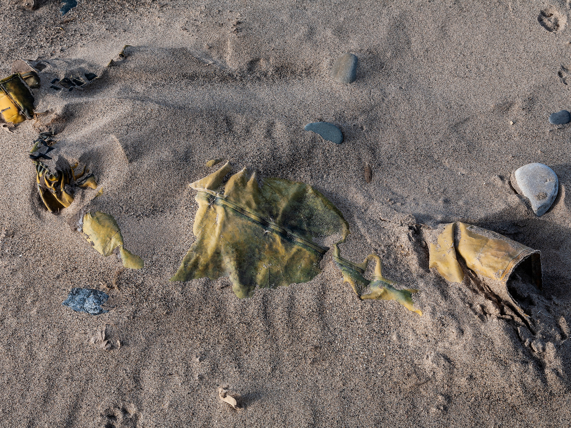 Spurn Peninsula. Hull Lift Arts Commission