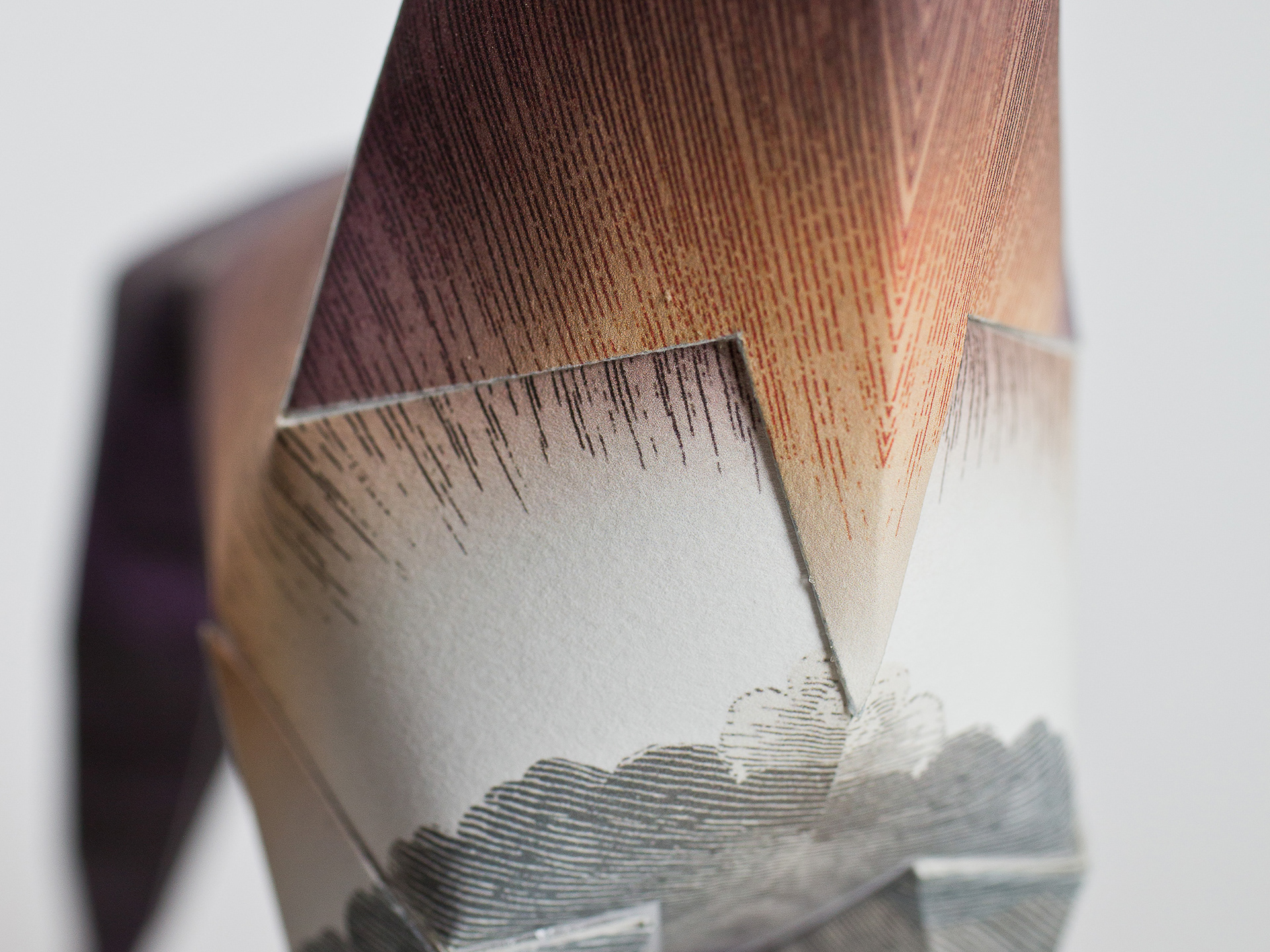 Detail for limited edition book