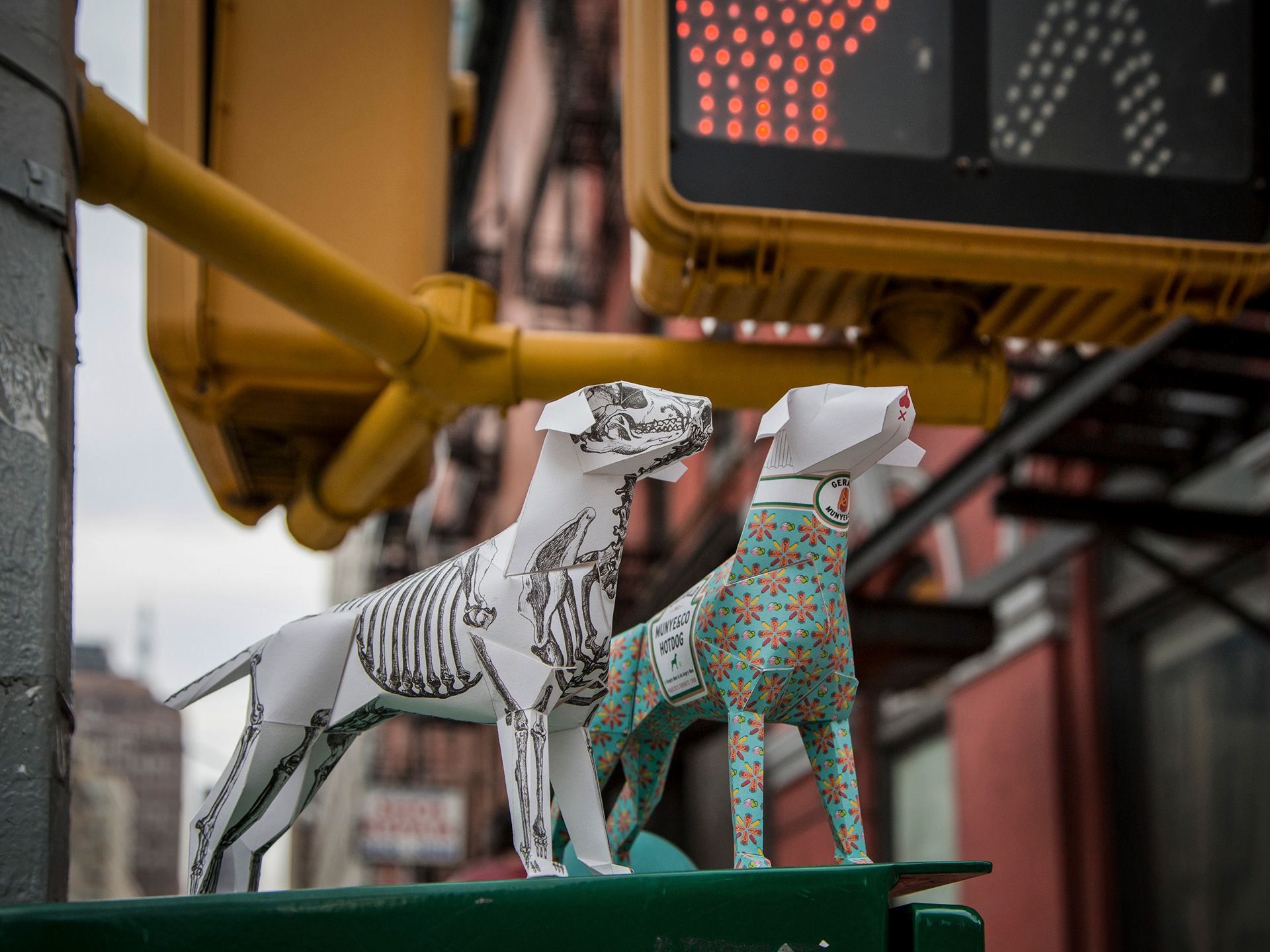 Gerald, NYC