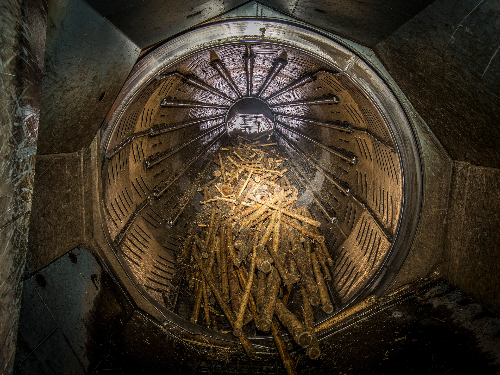 Södra, Sweden. Forest Management