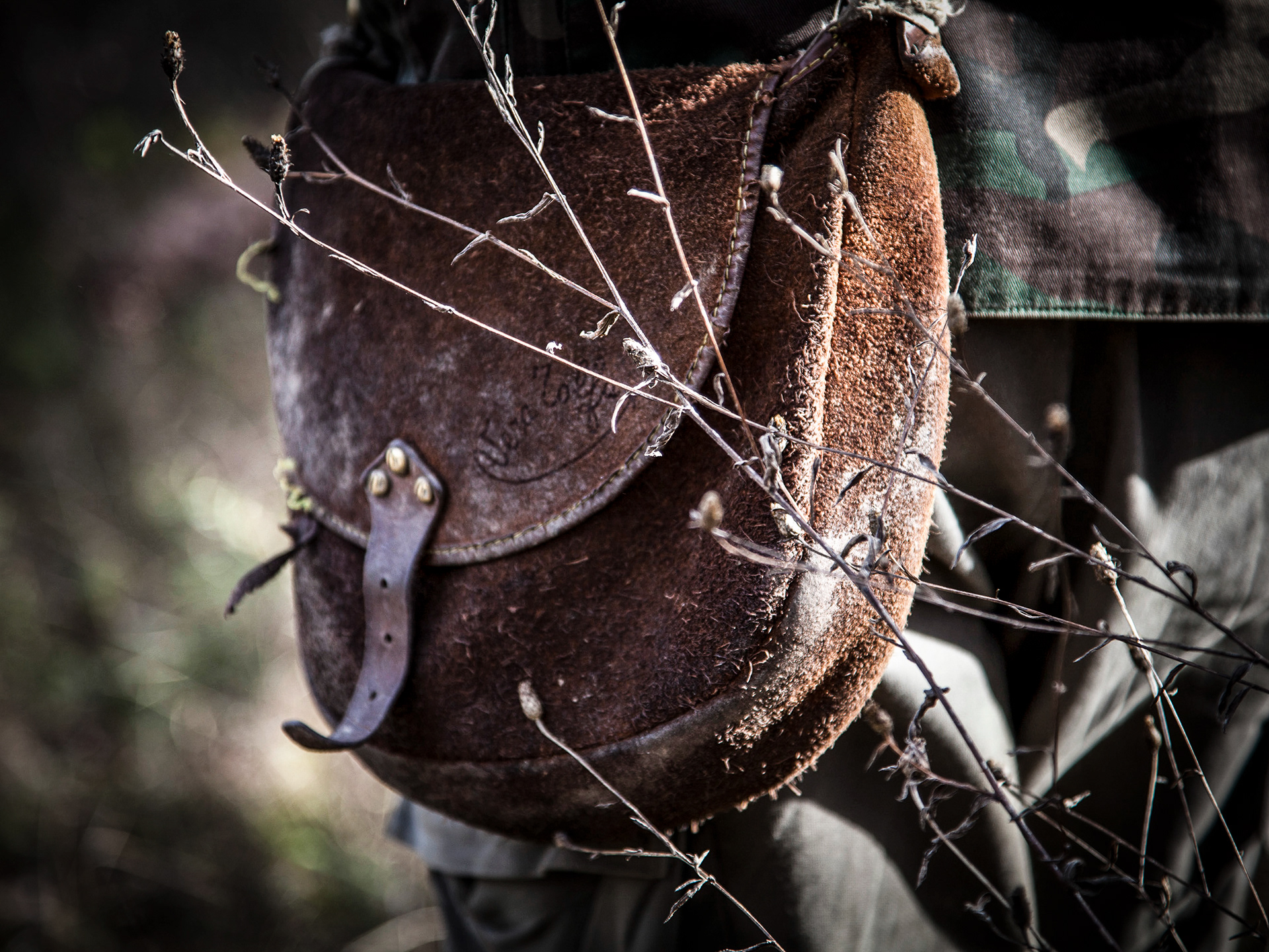 Truffle hunting in the forest