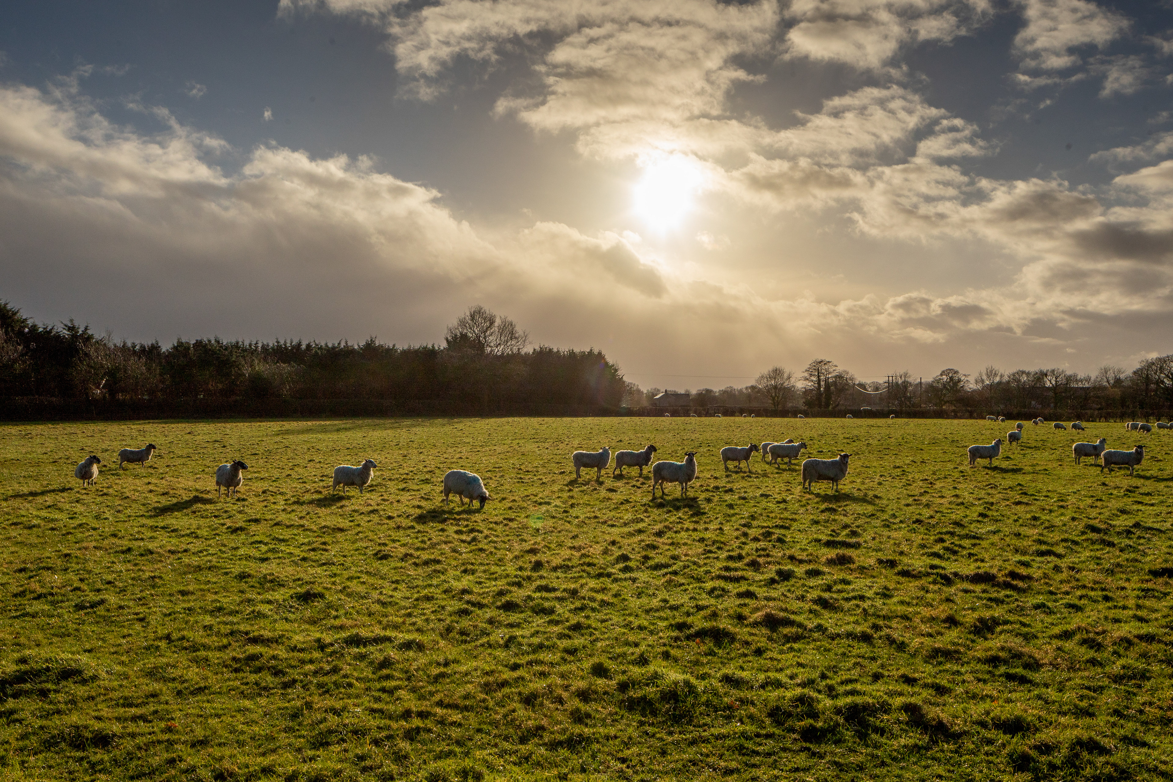 Outpost Agency, Wilmslow