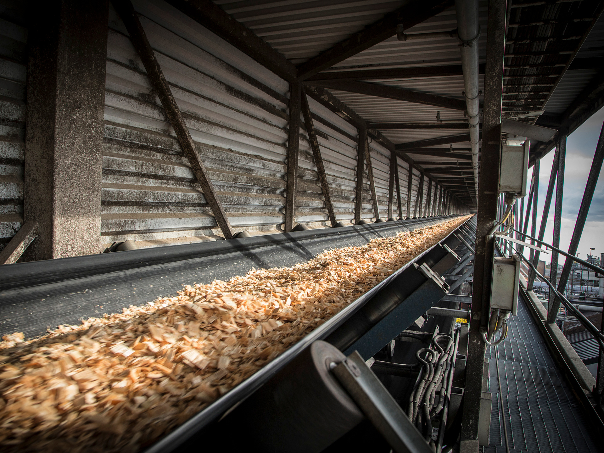 Södra, Sweden. Forest Management