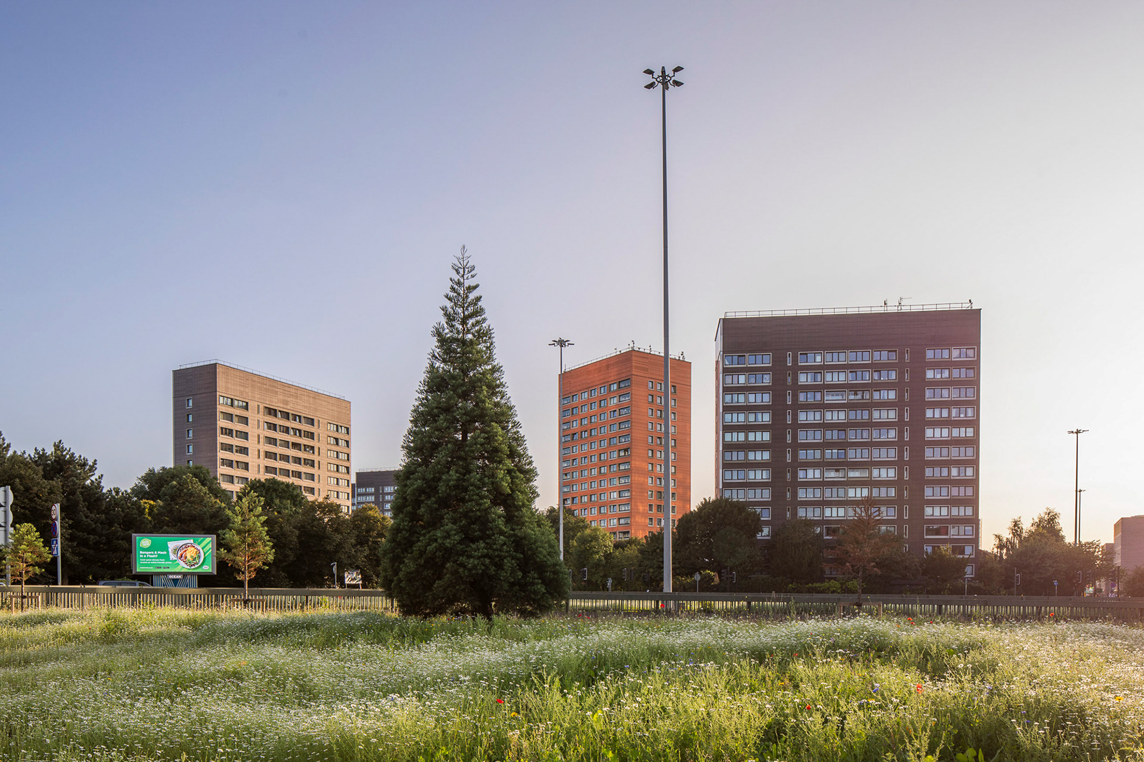 Manchester. Paradox of the Urban Landscape