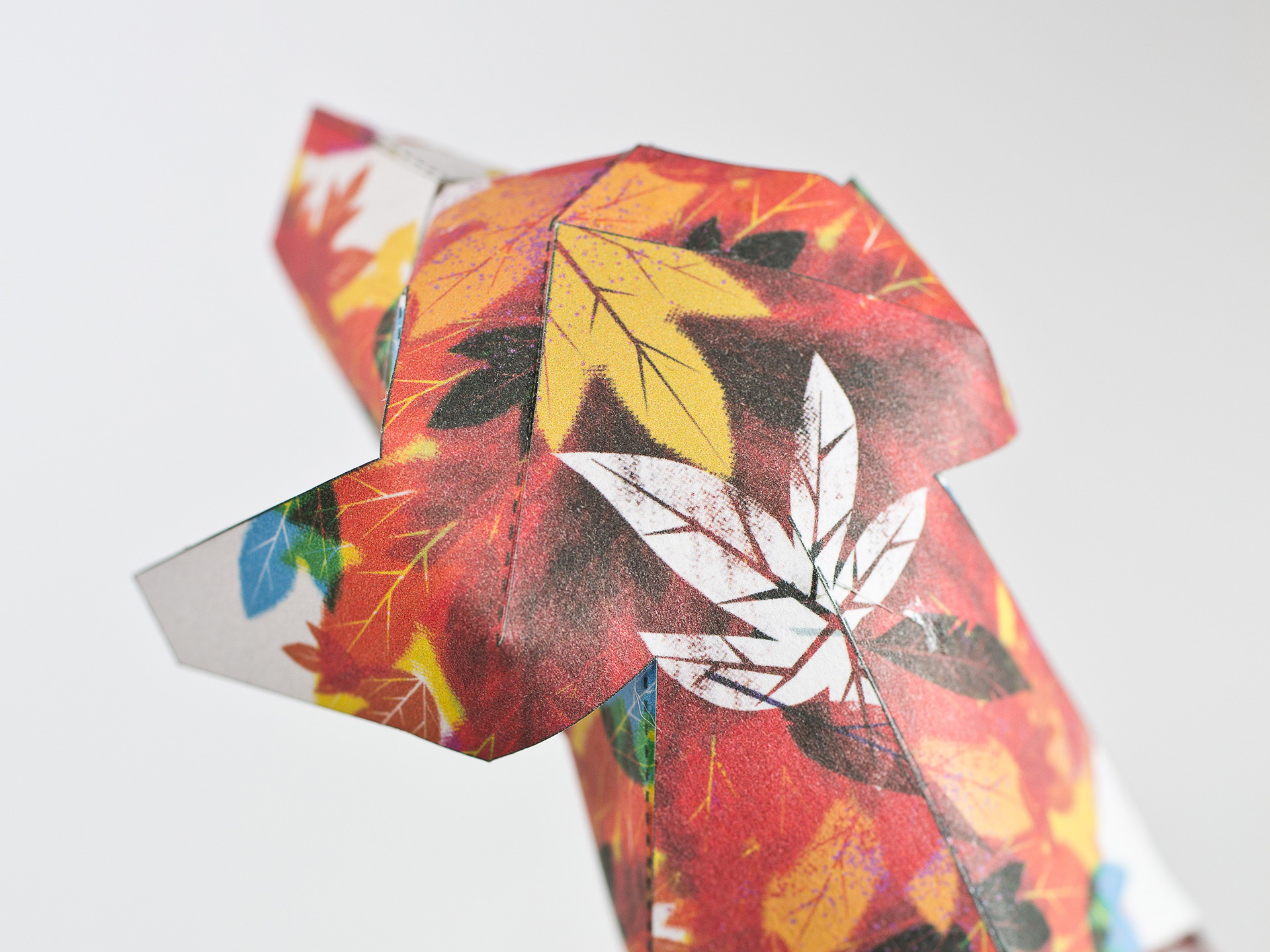 Detail for limited edition book