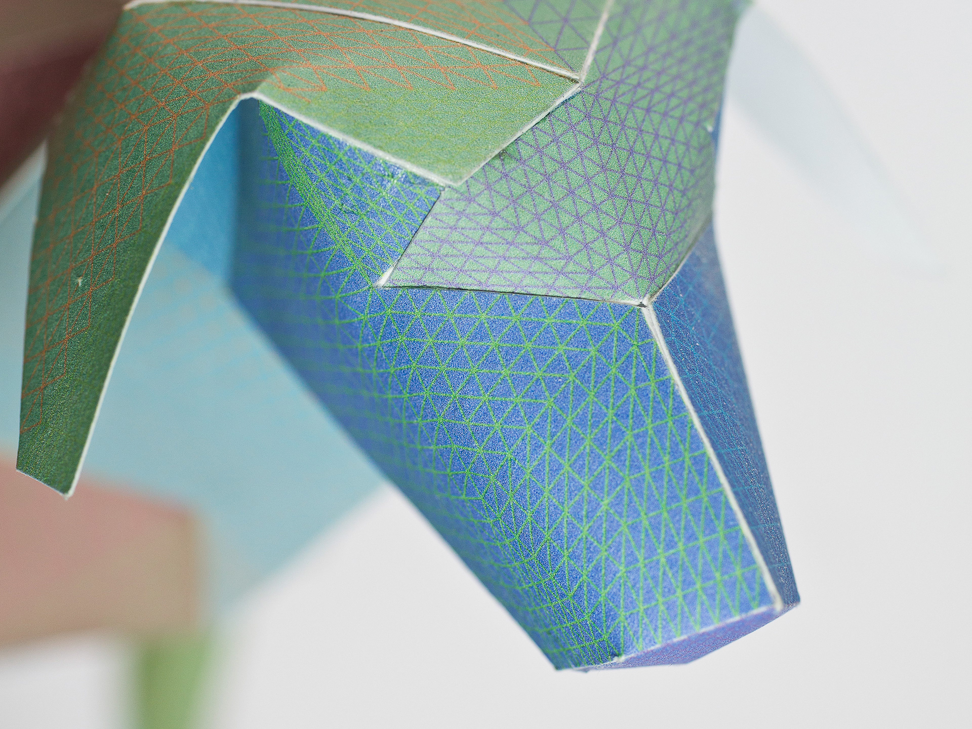 Detail for limited edition book