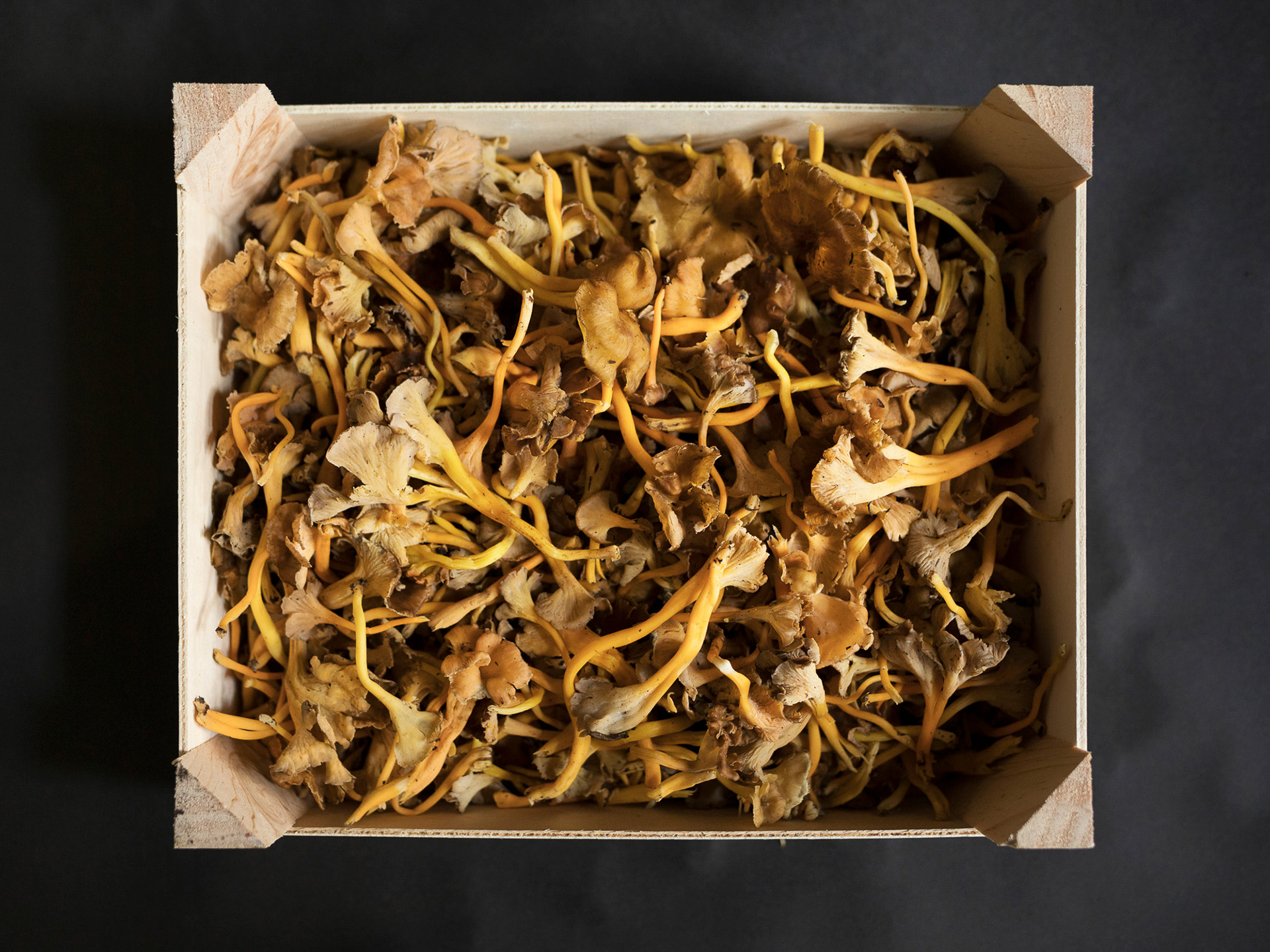 The French, Manchester