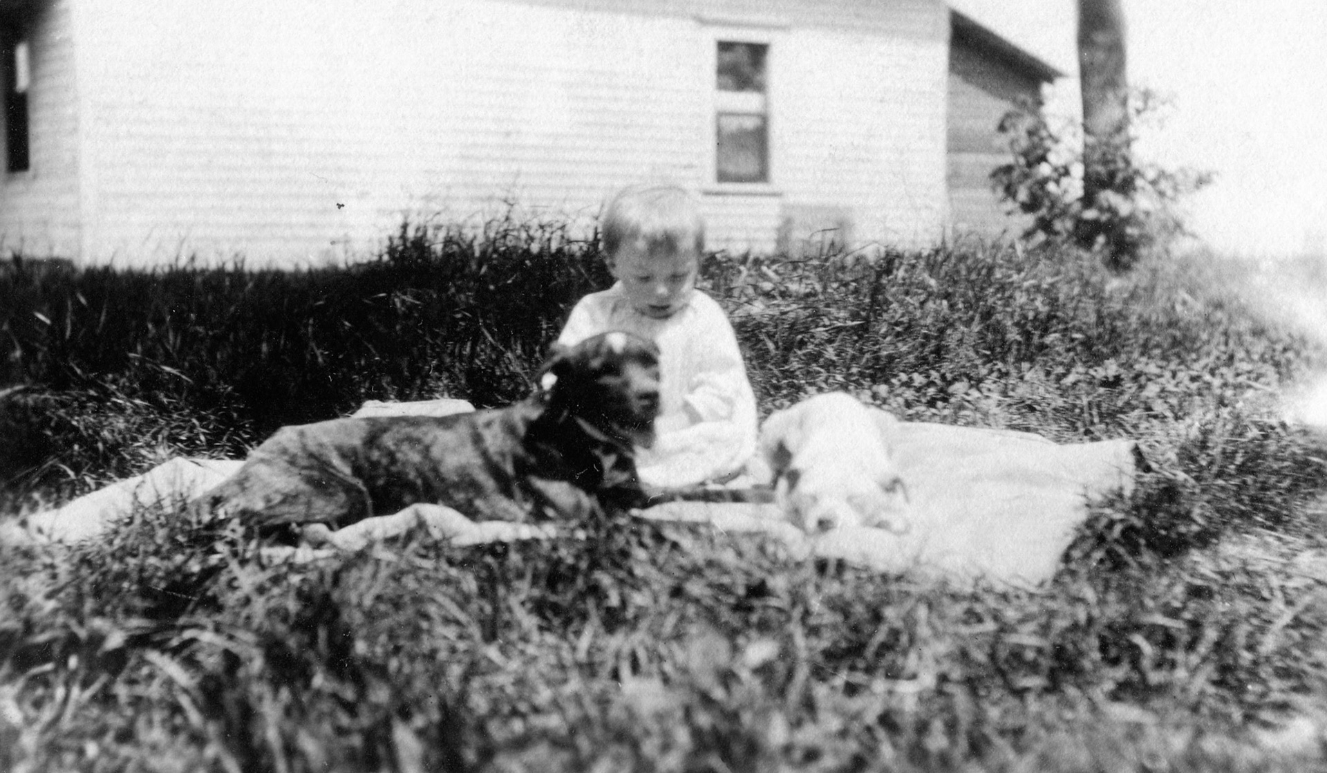 "Jackie & his dogs Sam & Billy"
