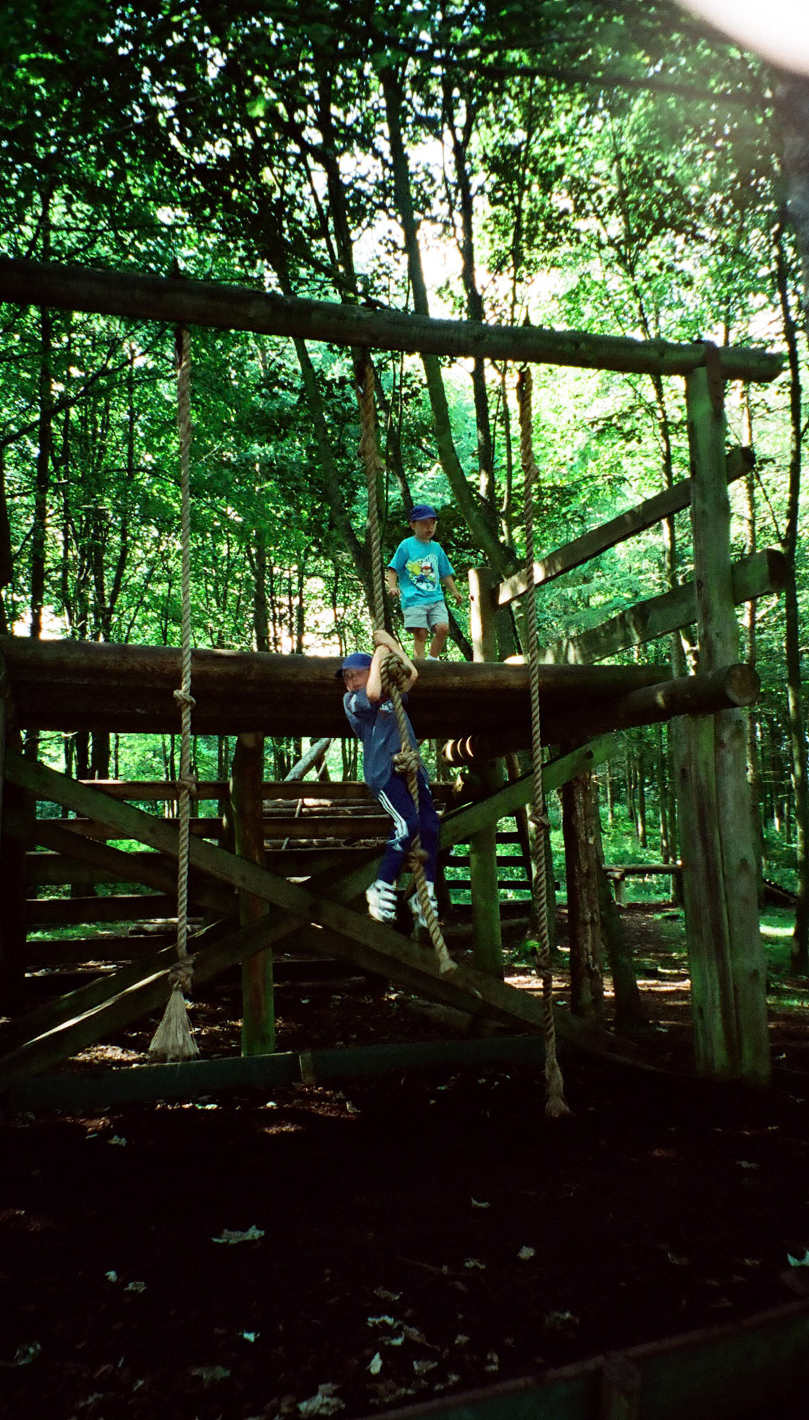 Matthew &amp; David Orrison - Lowther