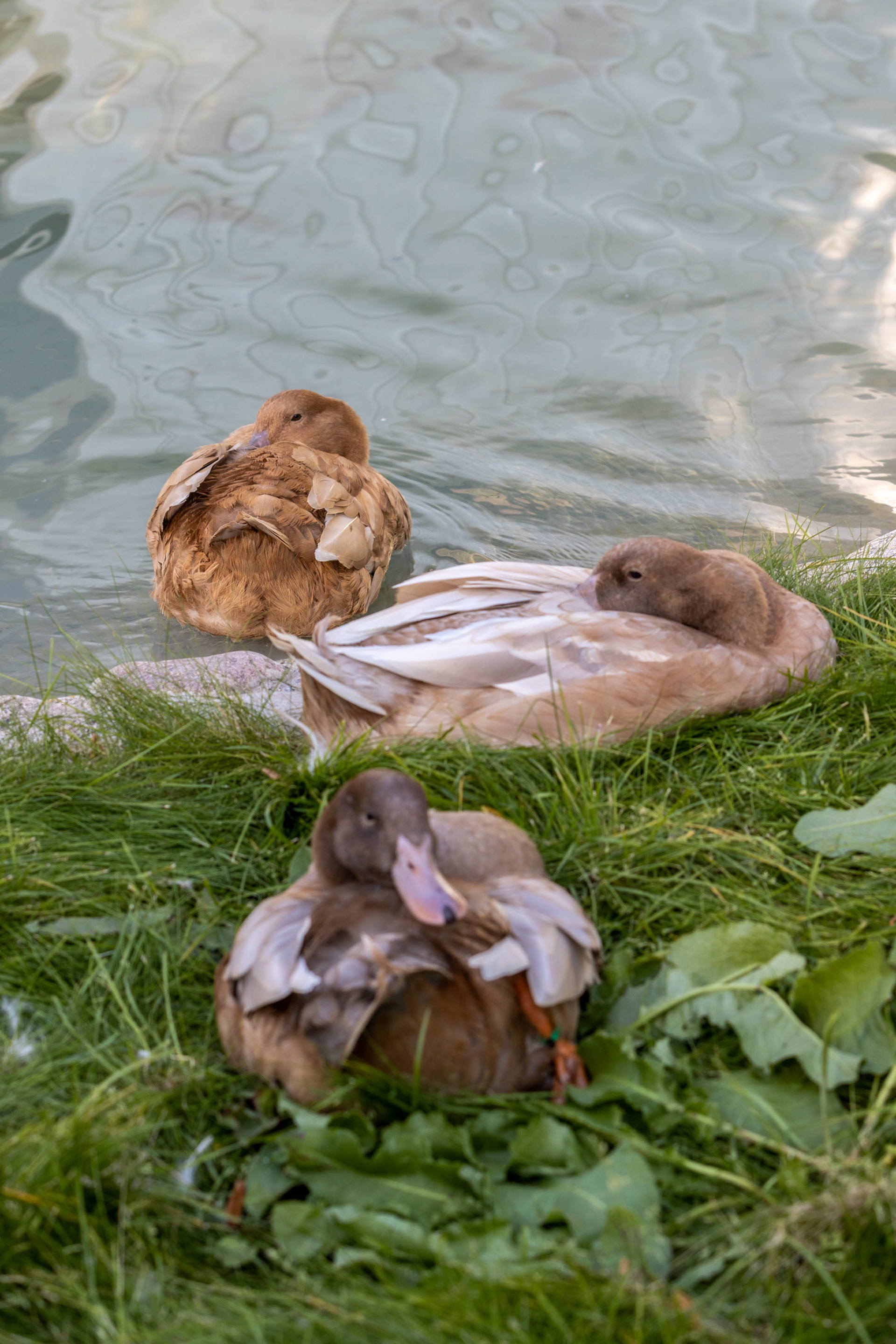 Gothenburg (SE) - ISO 100 / 88mm / f5.6 - ©2021