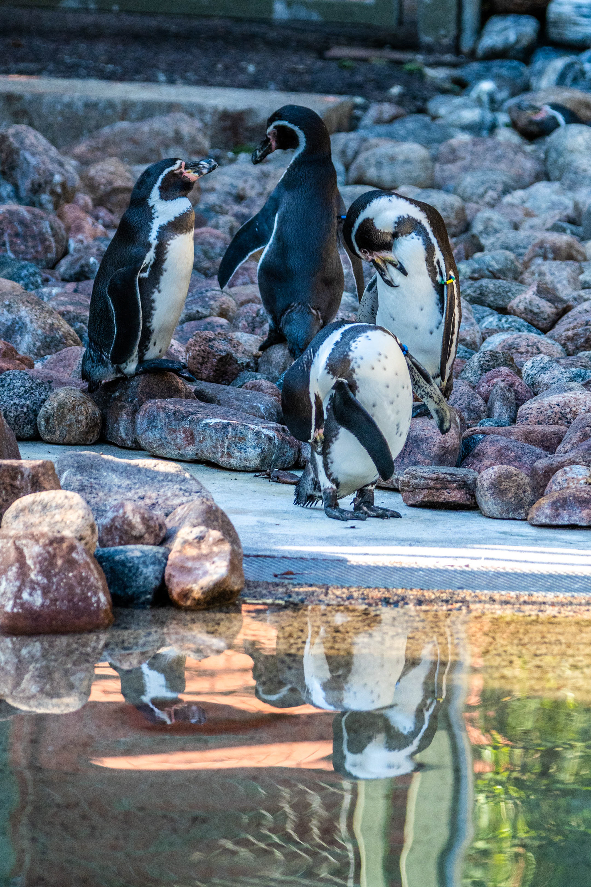 Gothenburg (SE) - ISO 200 / 170mm / f2.8 - ©2021