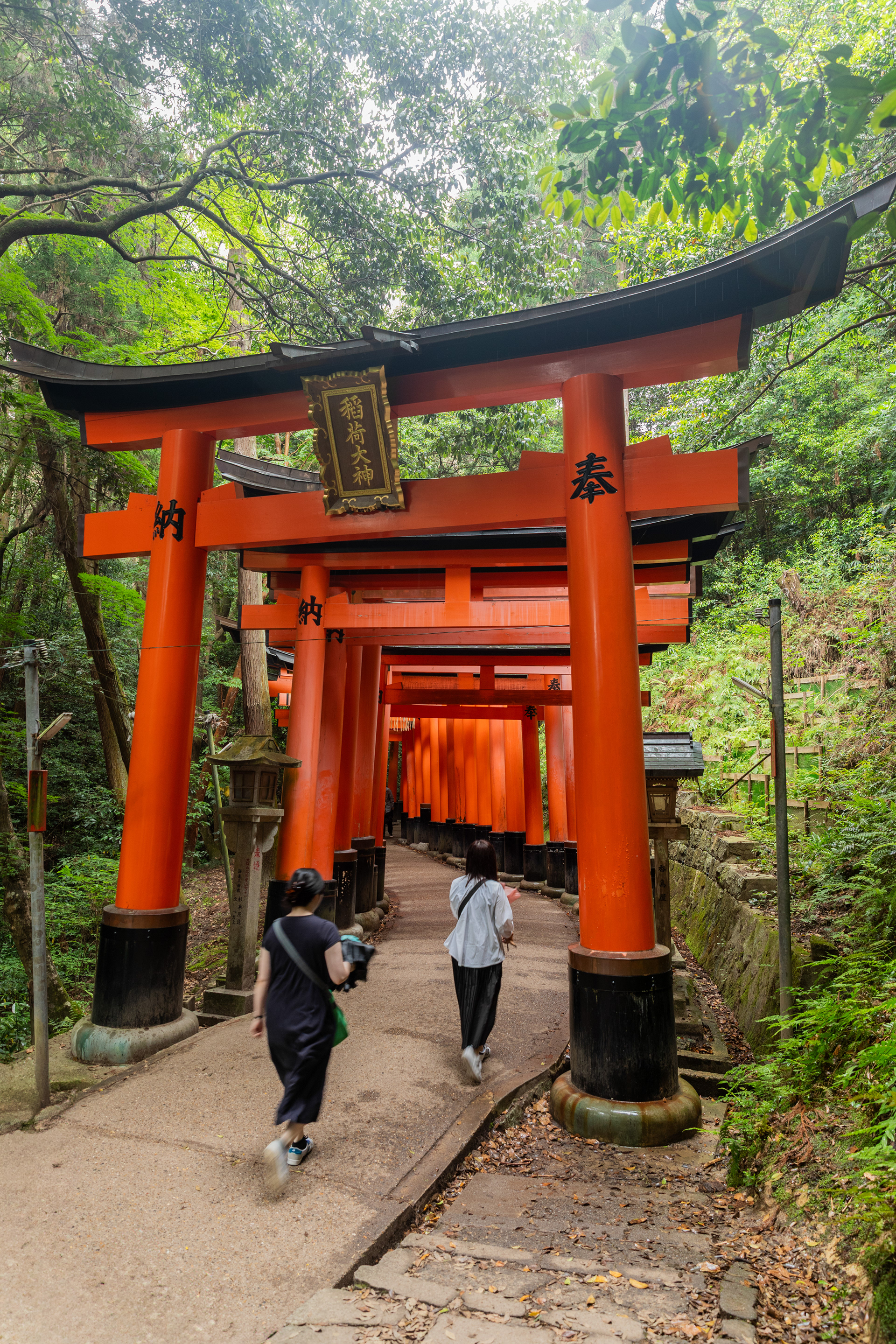 Fushimi Inari Shrine - Kyoto - Japan - ©2025