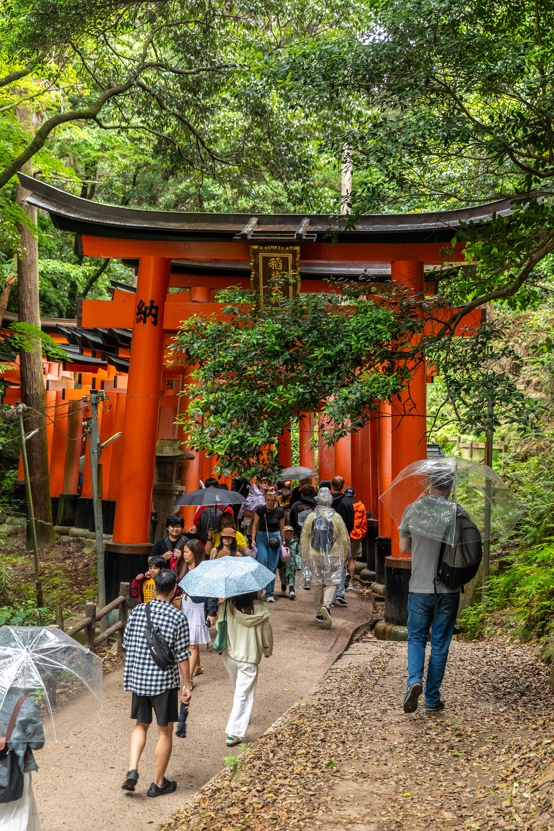 Fushimi Inari Shrine - Kyoto - Japan - ©2025