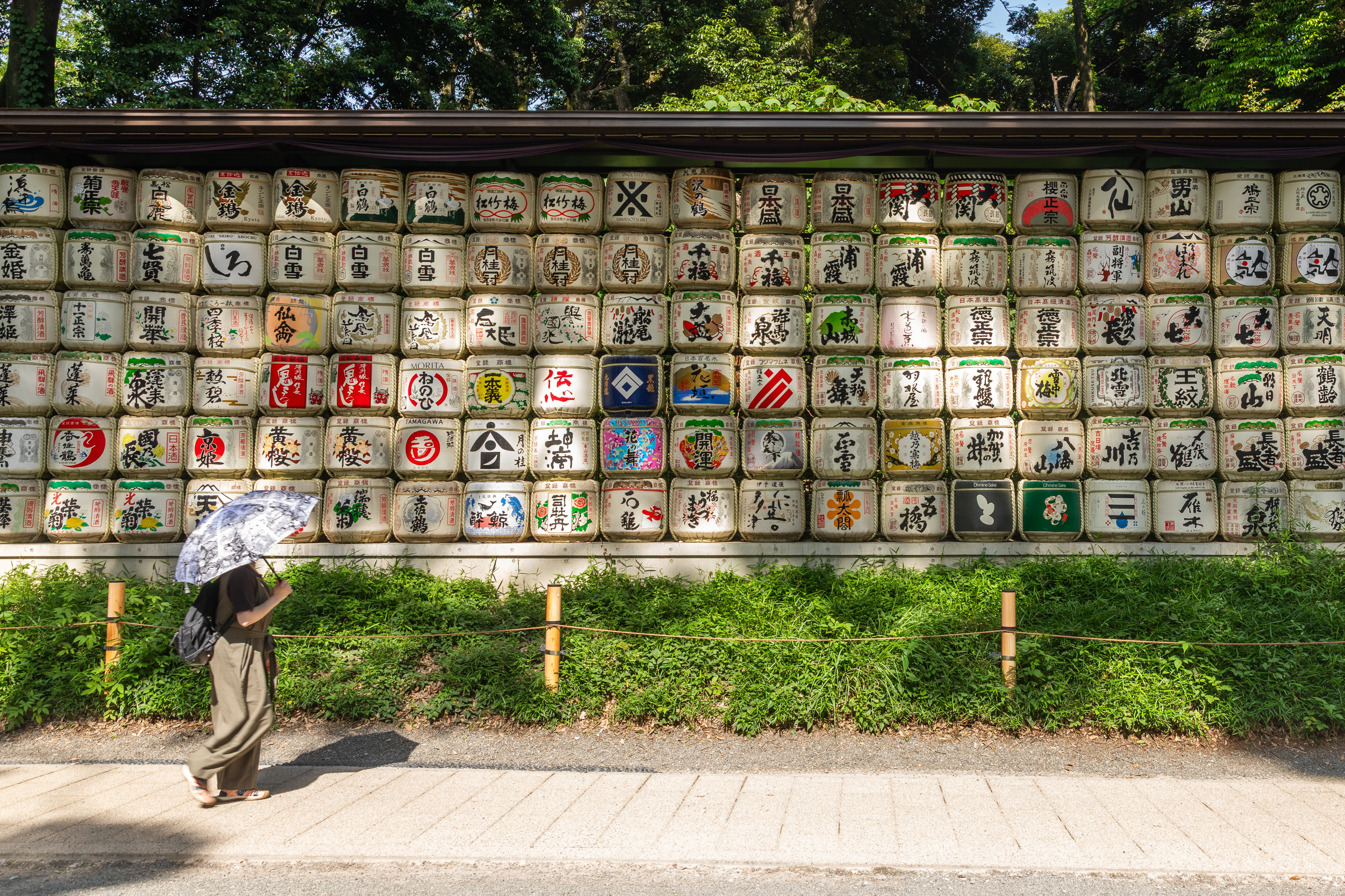 Meiji-jingū - Tokyo - Japan - ©2025