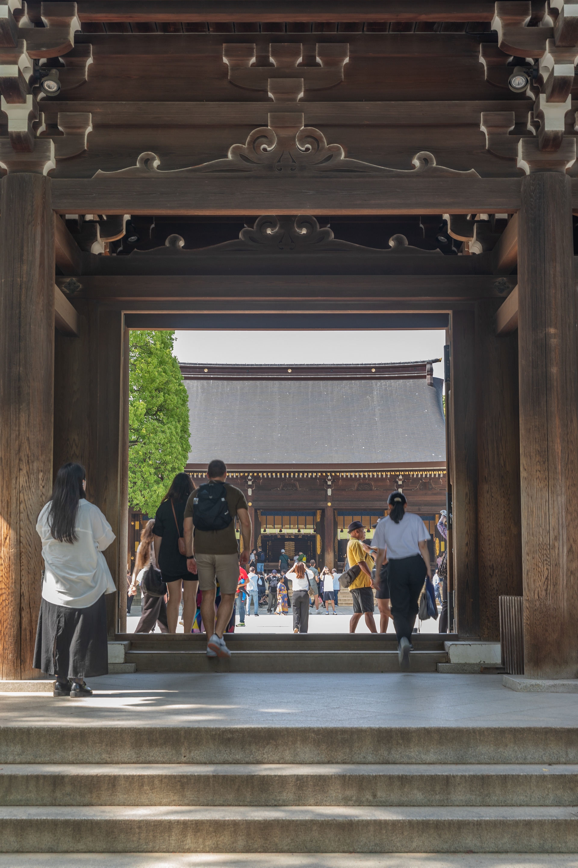 Meiji-jingū - Tokyo - Japan - ©2025