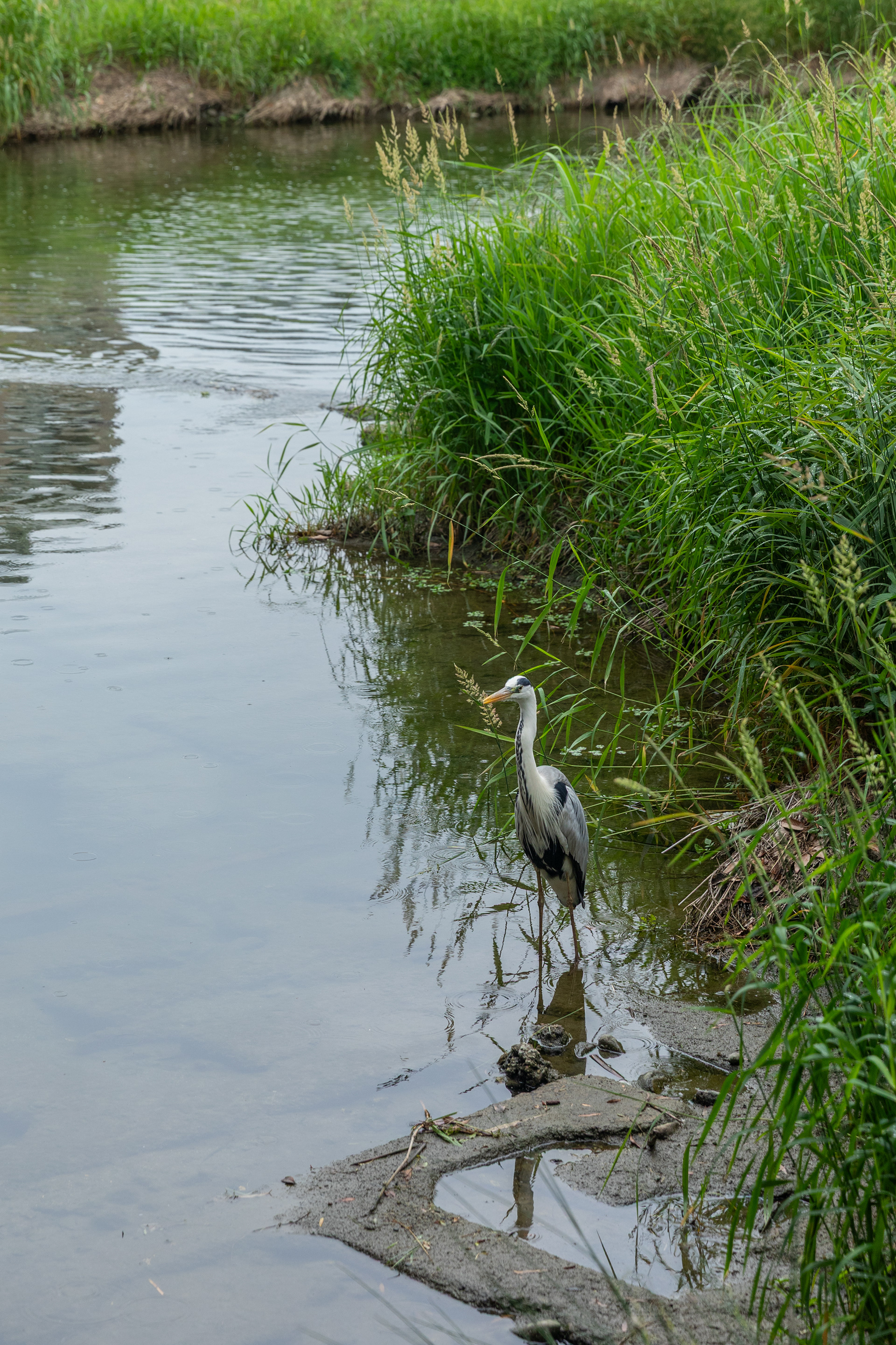 Kyoto - Japan - ©2025