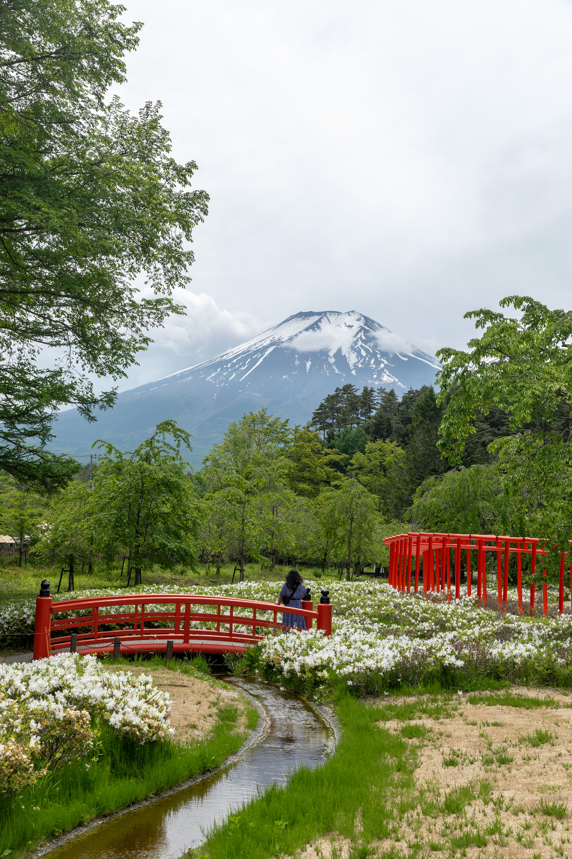Mt. Fuji - Japan - ©2025