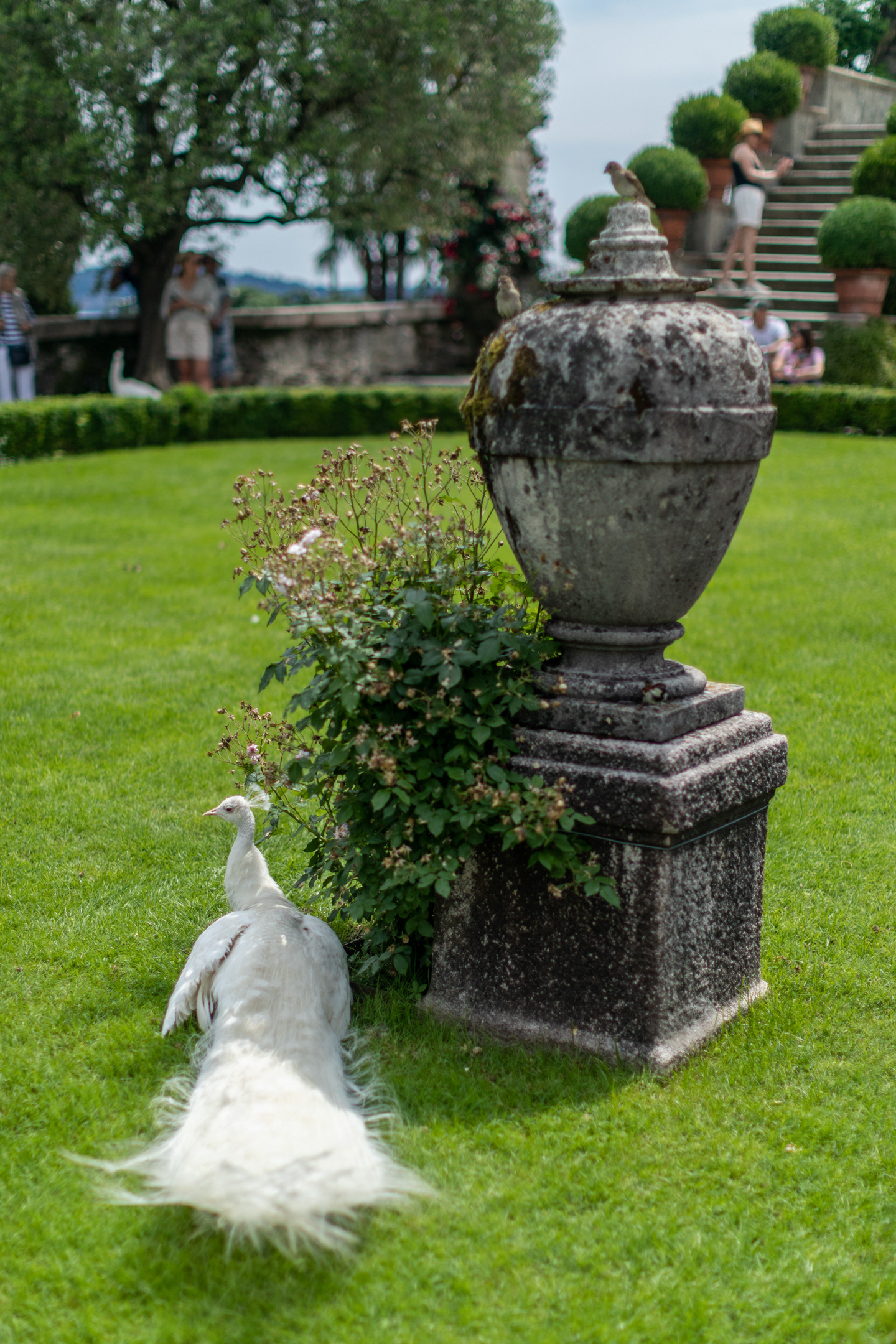 Isola Bella - Lago Maggiore - Italy - ©2022