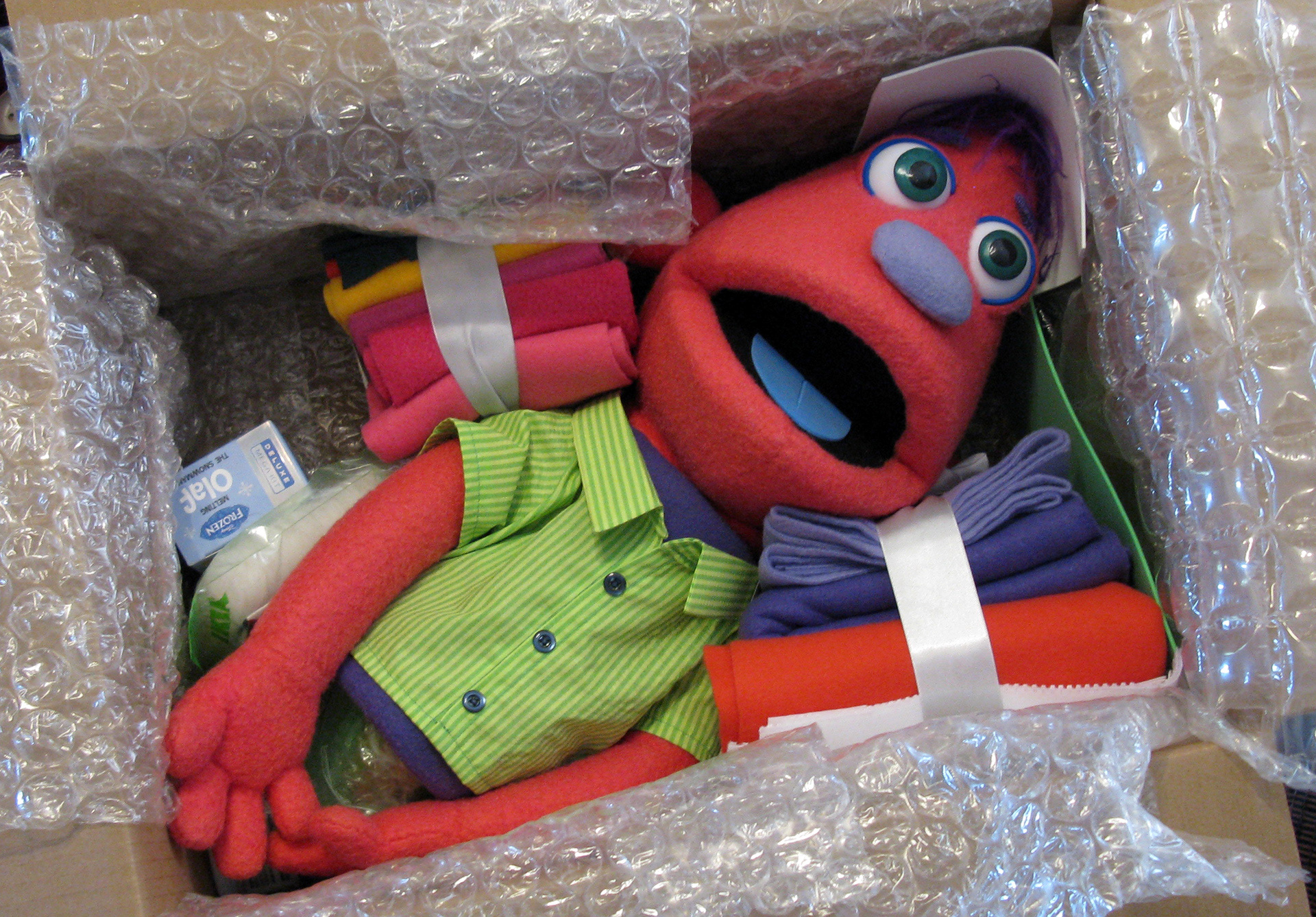 Rudy, packed up (along with some extra fabric) for his trip to Ohio