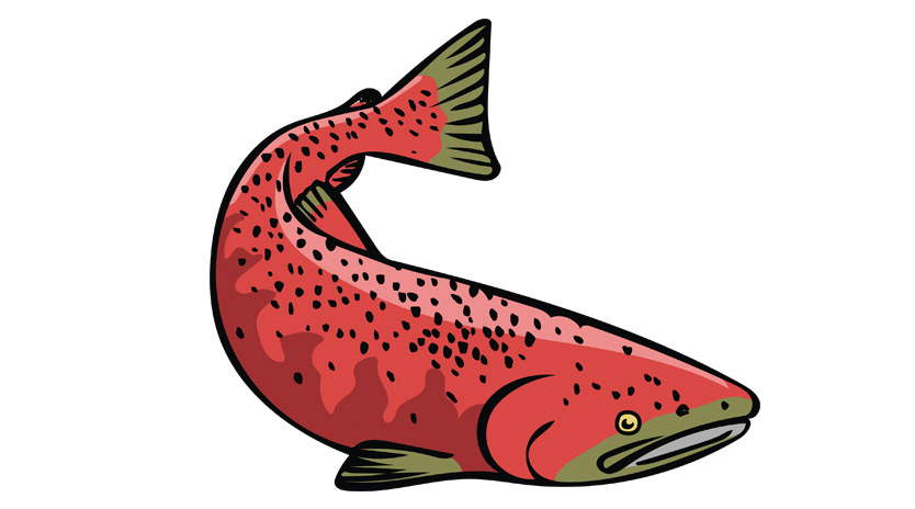 Rainbow Trout SVG Clip Art - Digital Download – Camille Woodward Art &  Design, LLC.