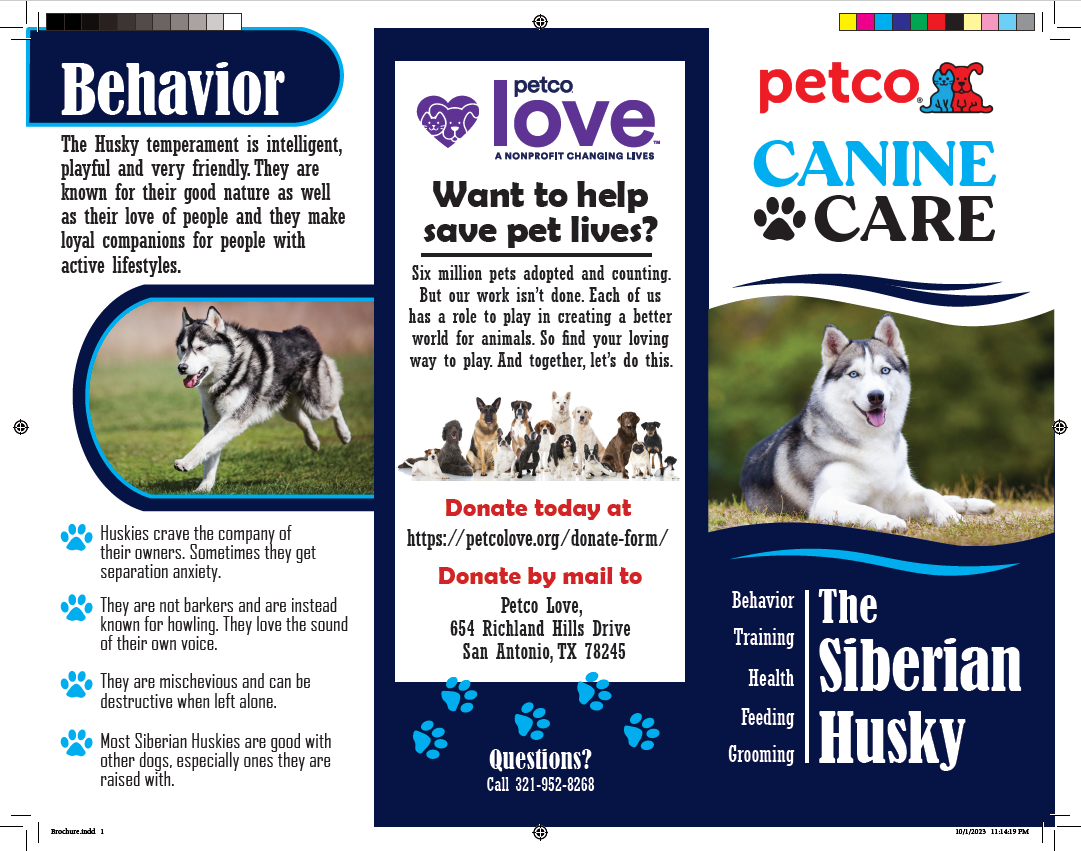 Concept Design for Petco Brochure